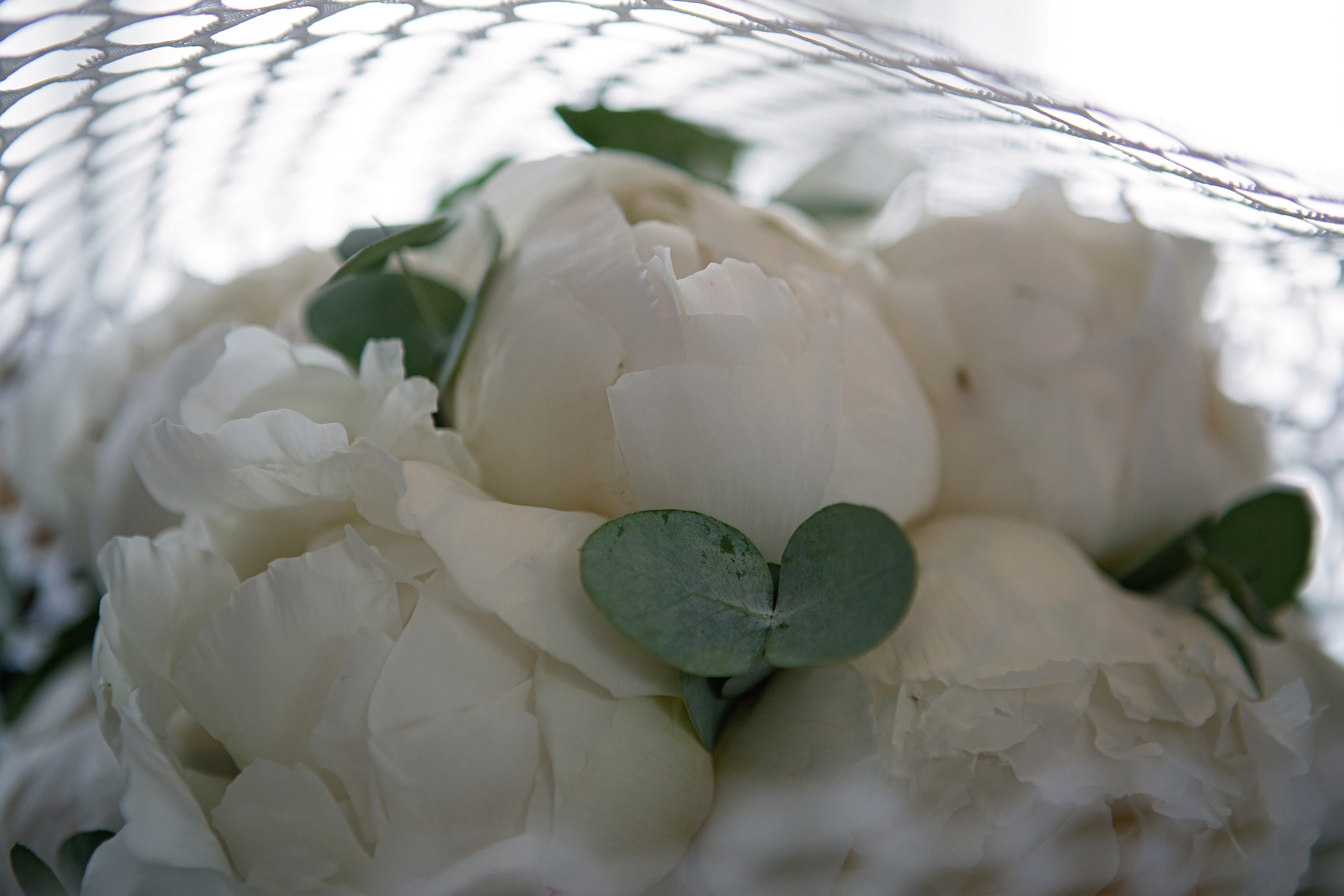 Камерная свадьба. Свадебный и портретный фотограф Москва