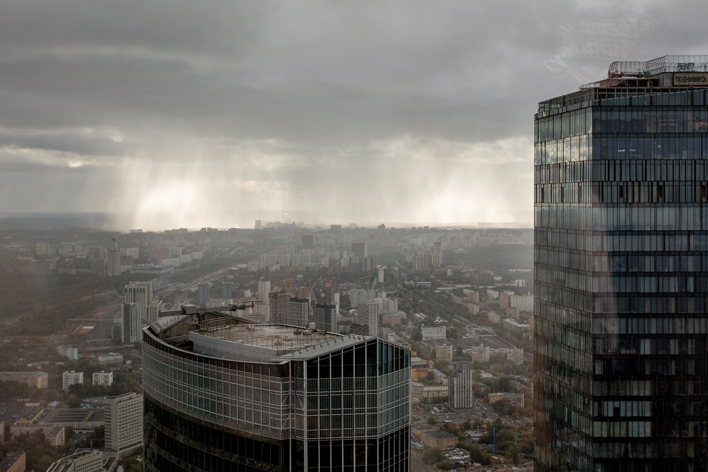 Свадьбас гостями. Свадебный и портретный фотограф Москва