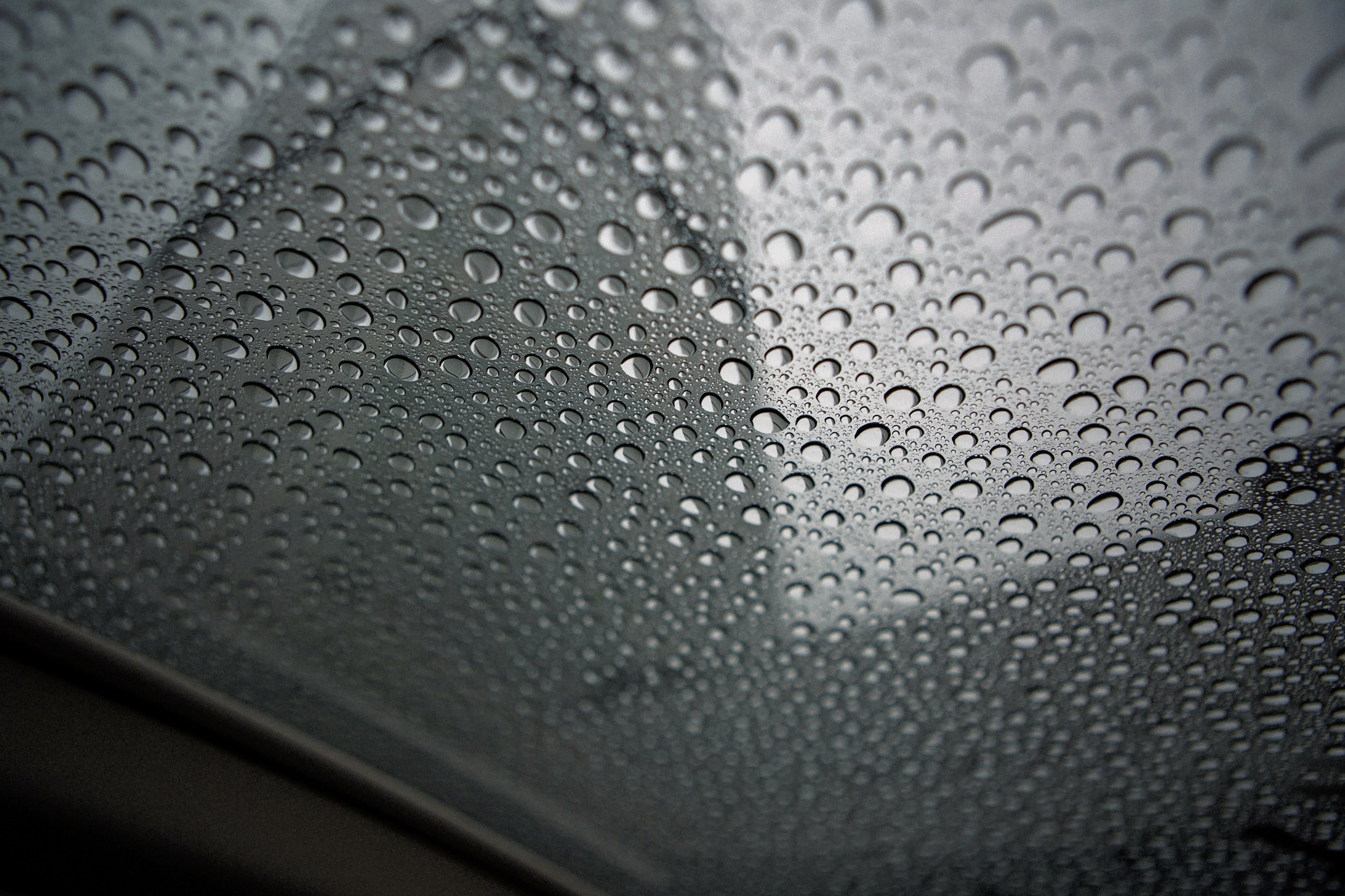 Камерная свадьба. Свадебный и портретный фотограф Москва