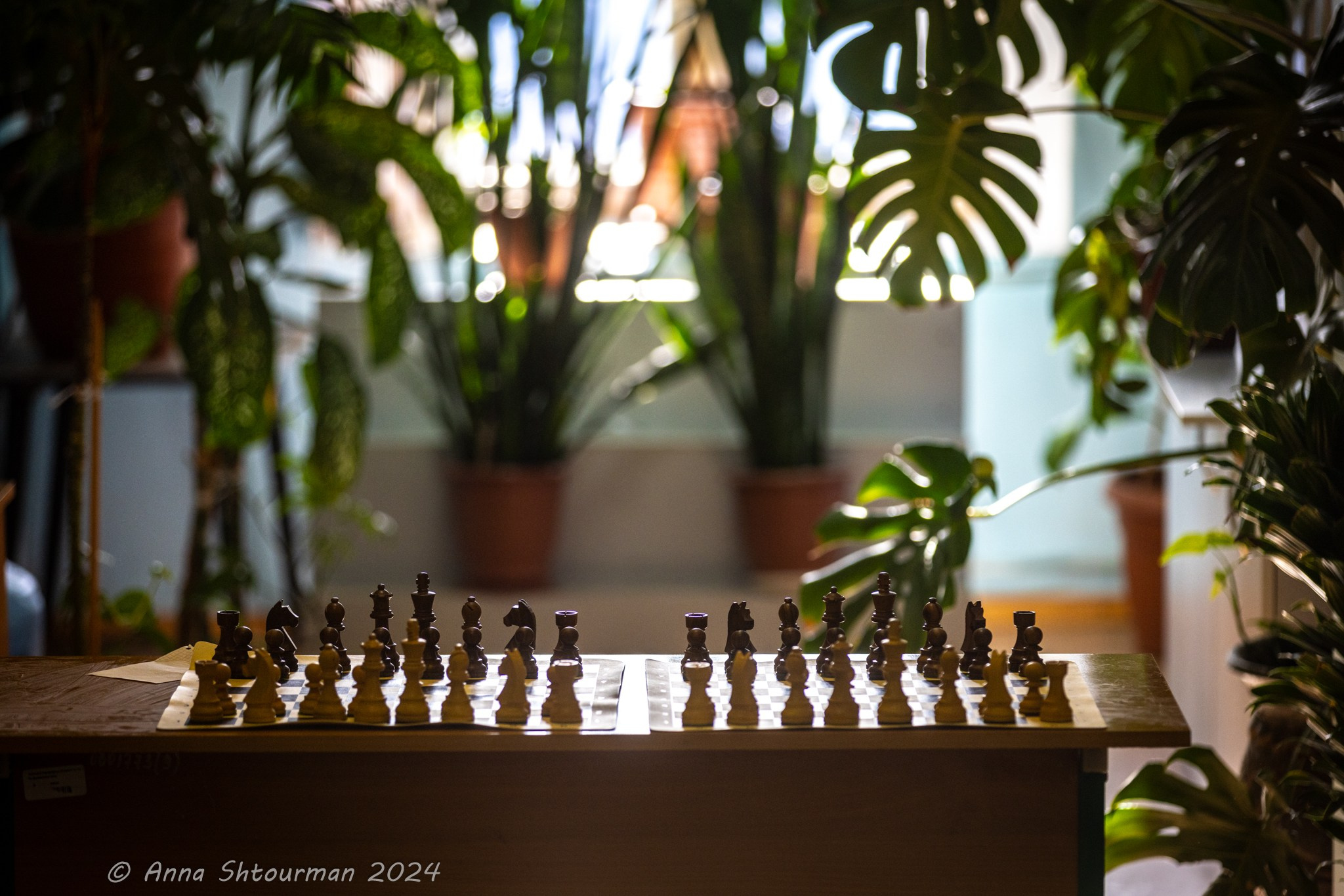 2024 Кубок Костромы по быстрым шахматам на призы ООО «СПЕЦСТАНОК». Фотограф Анна Штурман (репортажная съёмка любых событий и мероприятий) Anna Shtourman photographer