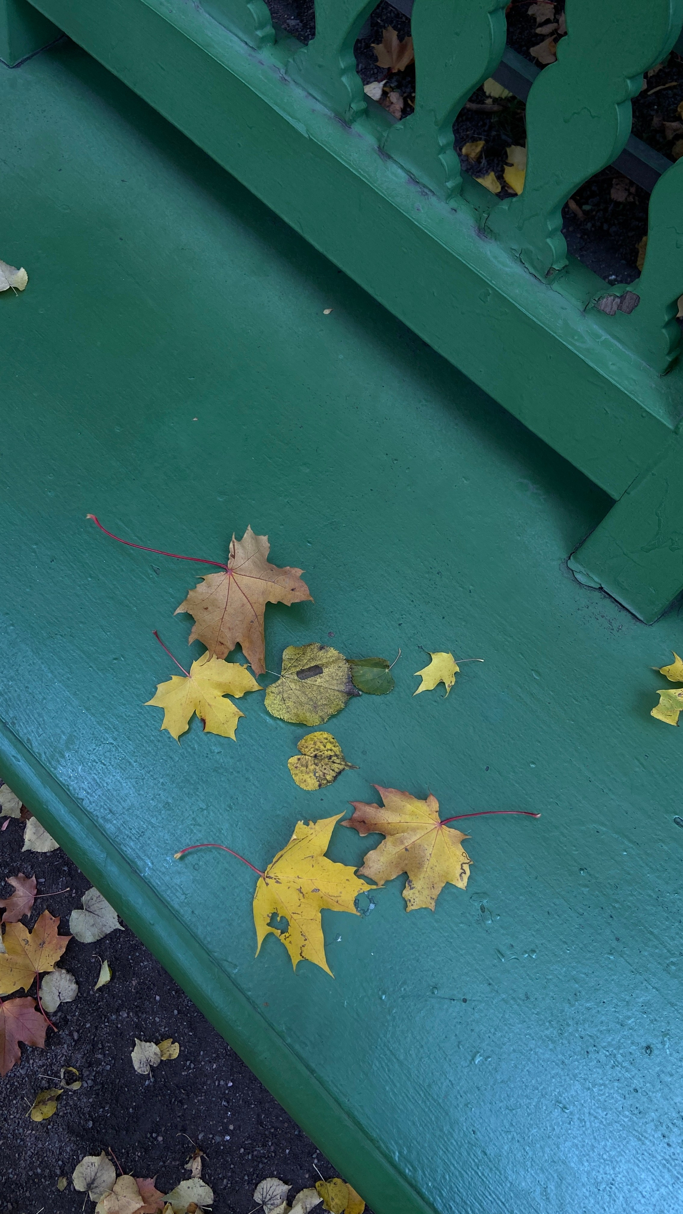 Городские локации в Питере