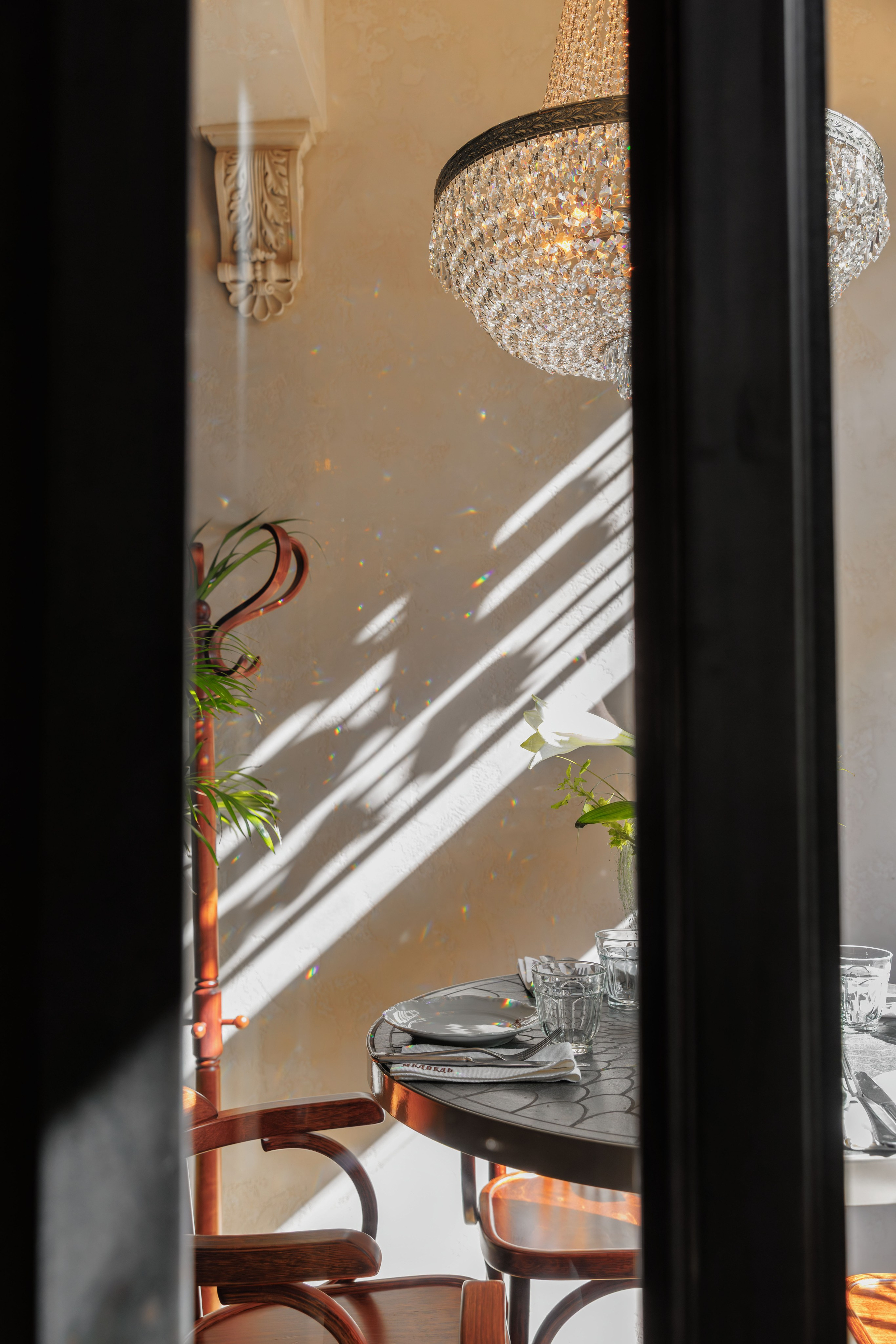 Медведь. Репортажный фотограф в Санкт-Петербурге Жолудев Владислав