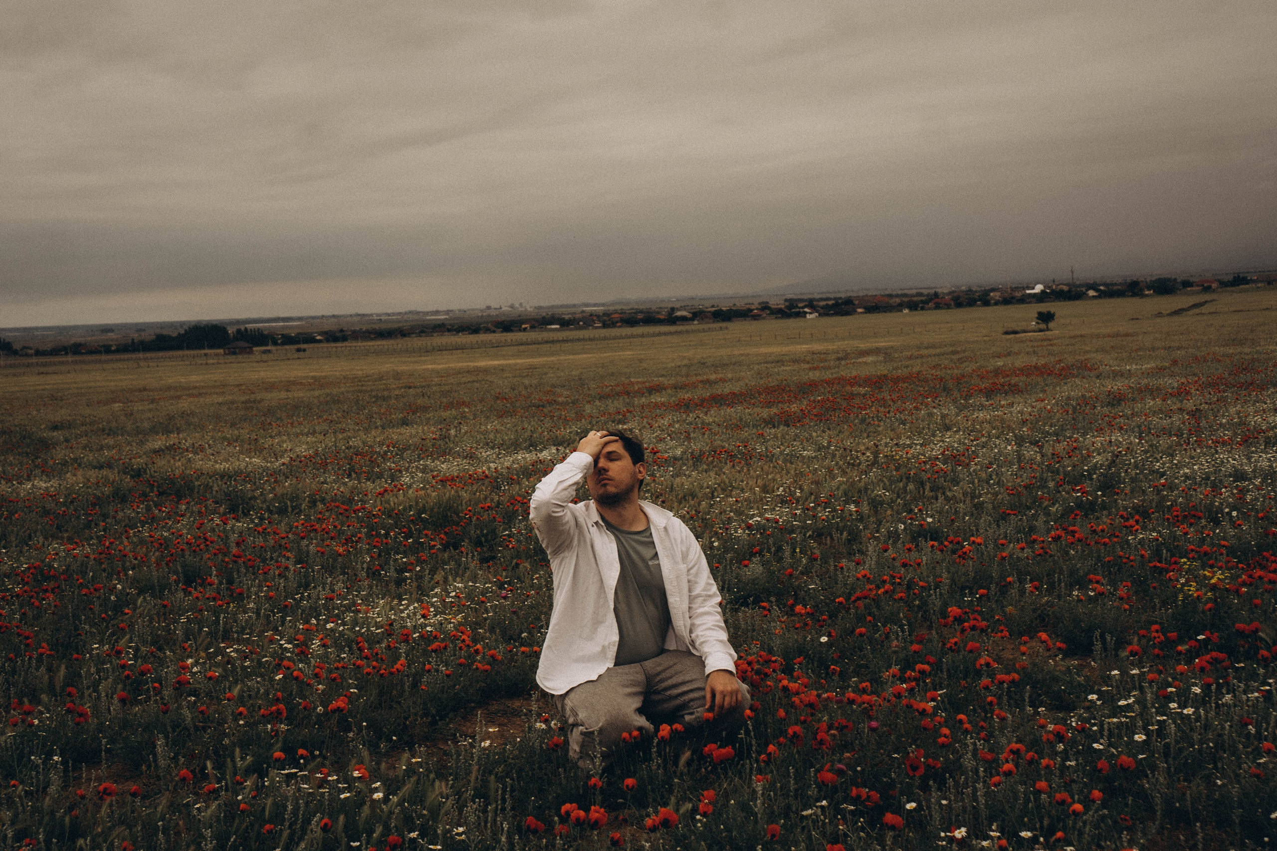 Маки. Профессиональный фотограф, Санкт-Петербург — Виктория Богомолова