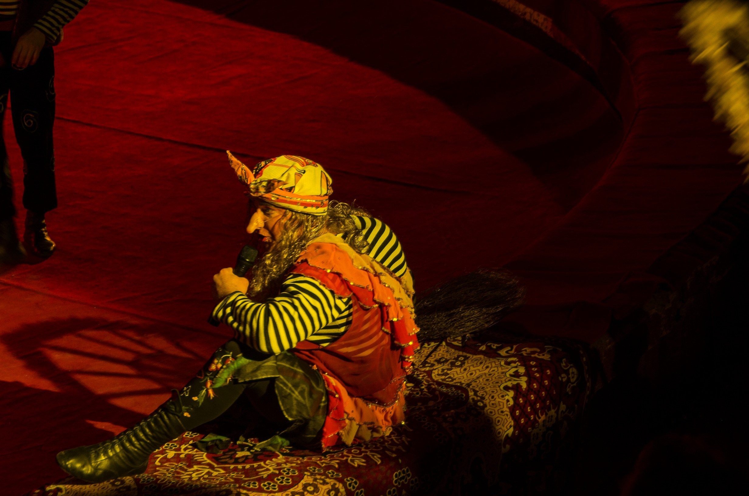 Цирк. Фотограф в РФ и ЛНР Юлия Федосеева