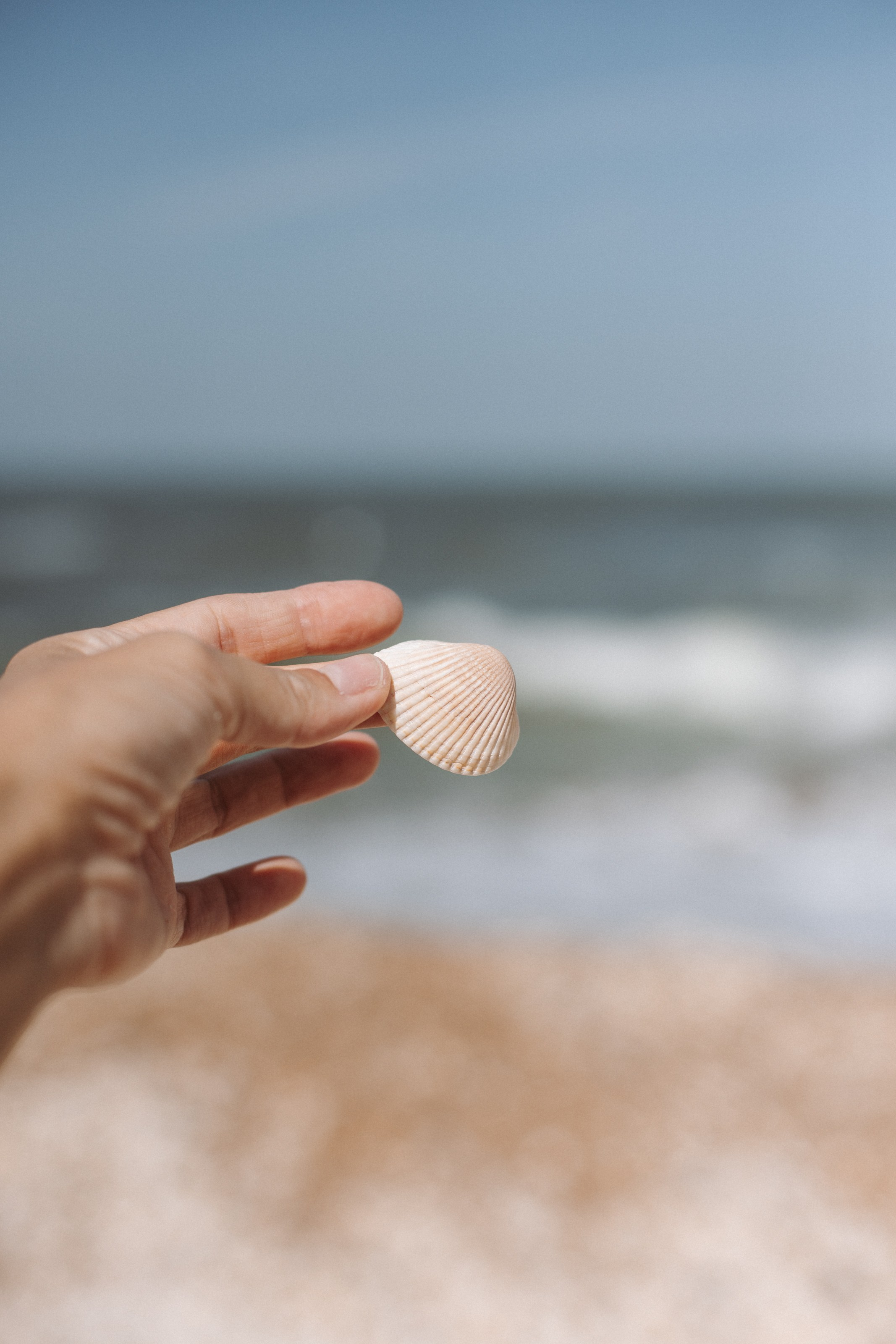 Crimea. Фотограф на Юге России