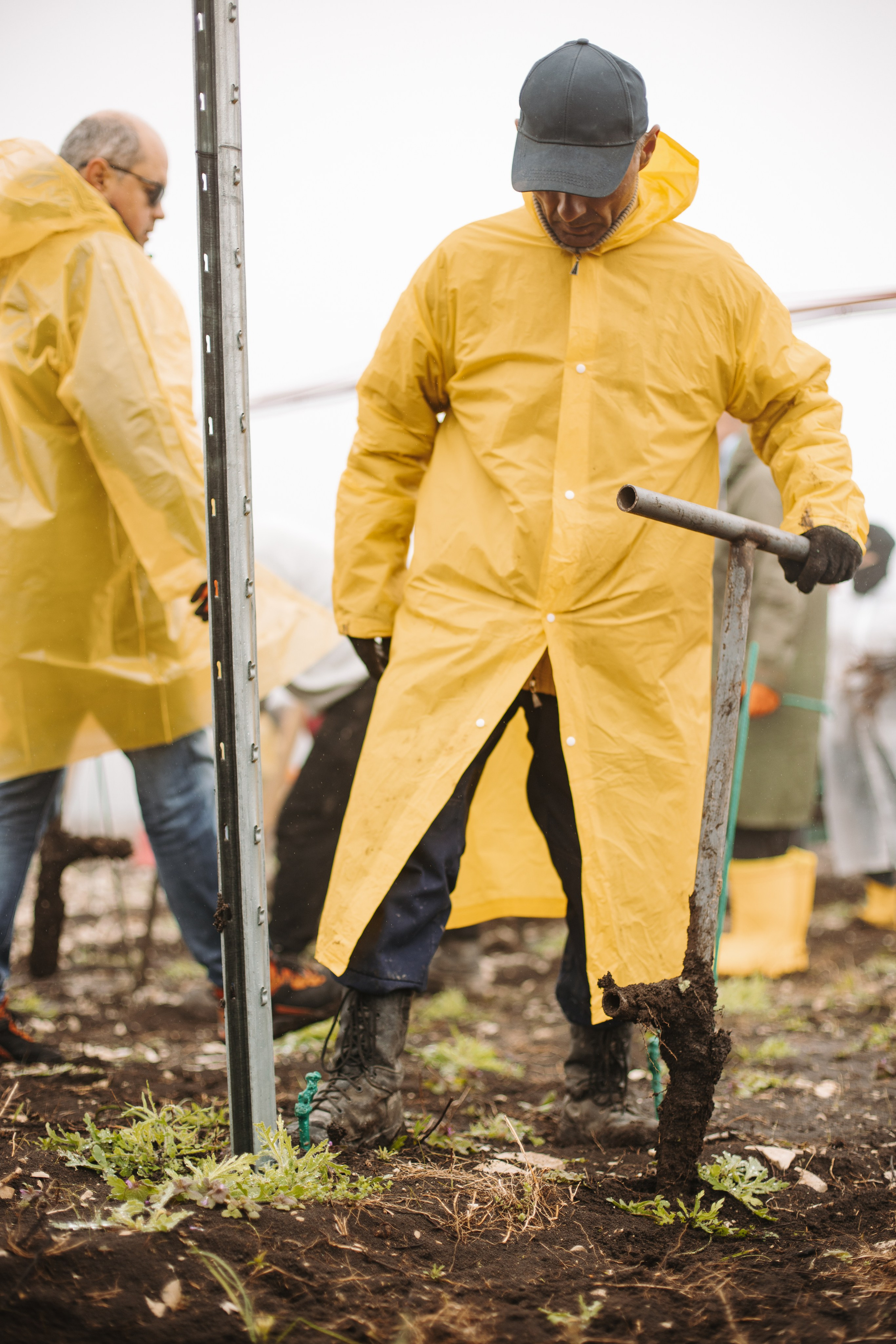 Lion Wine. Фотограф на Юге России