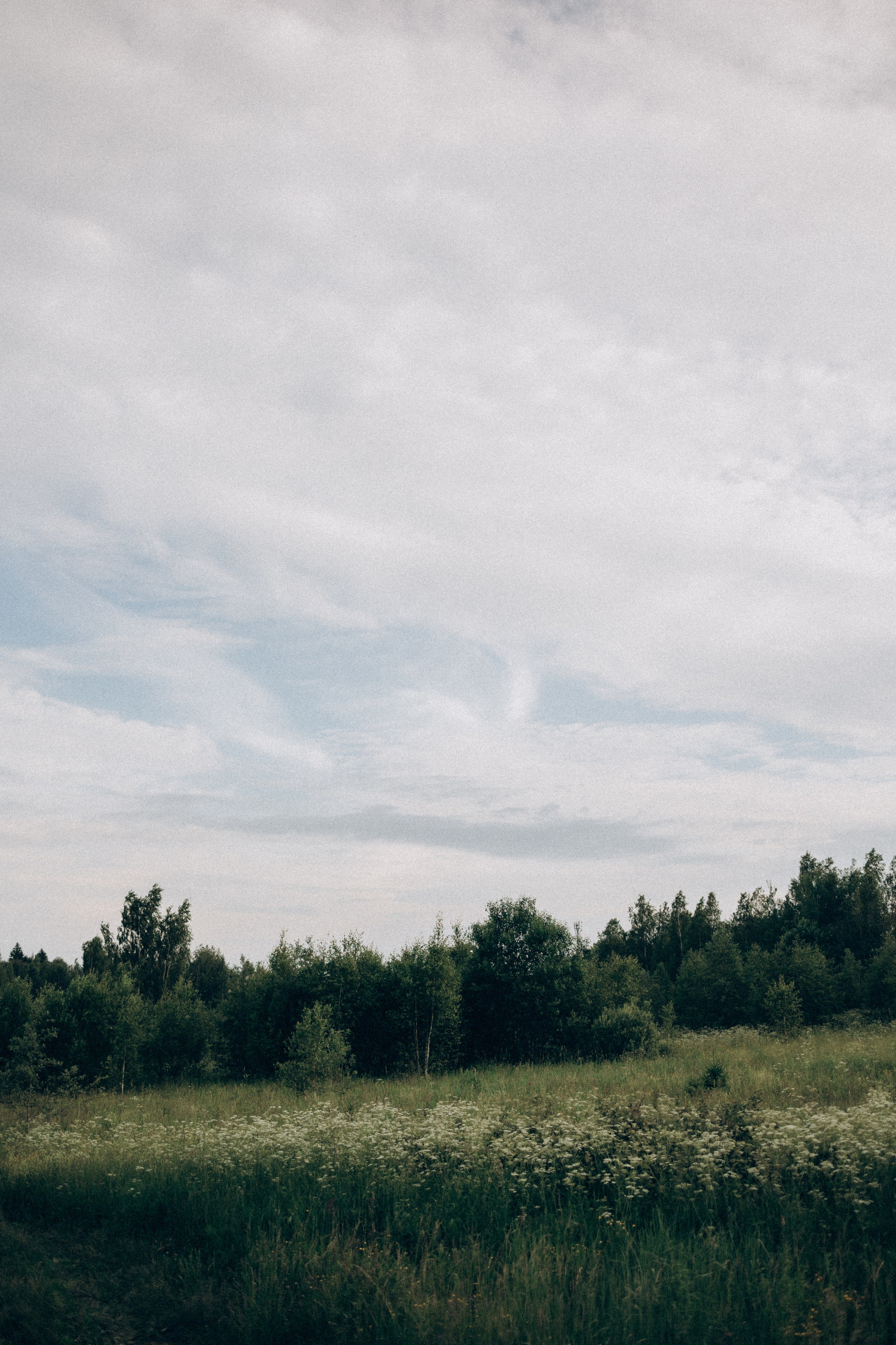 «Самая важная вещь в мире — это Семья и Любовь». Фотограф Москва Светлана Кирюшина