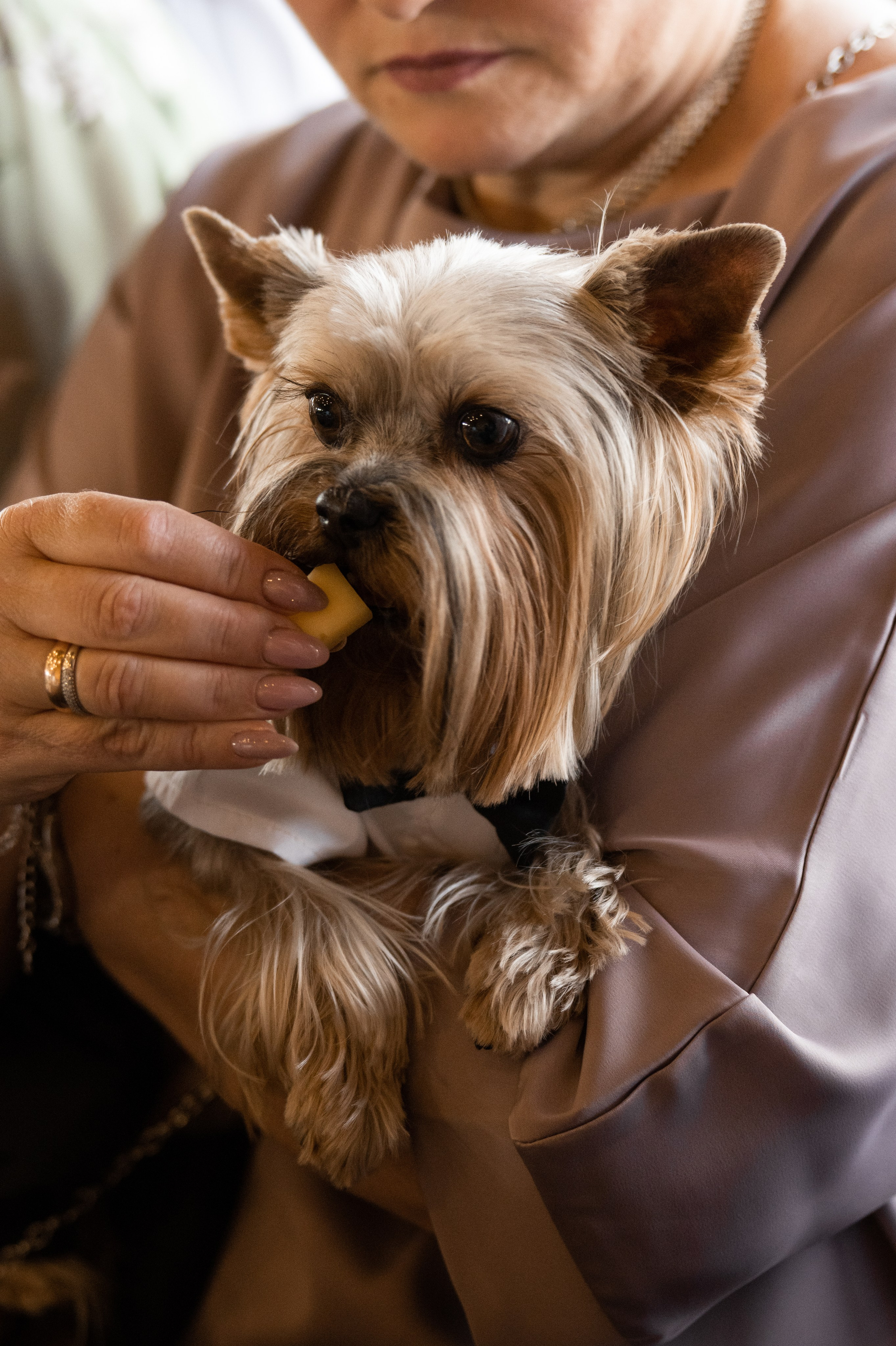 2024. Дима и Маша. Свадебный и семейный фотограф в Москве и Европе Евгения Амелина