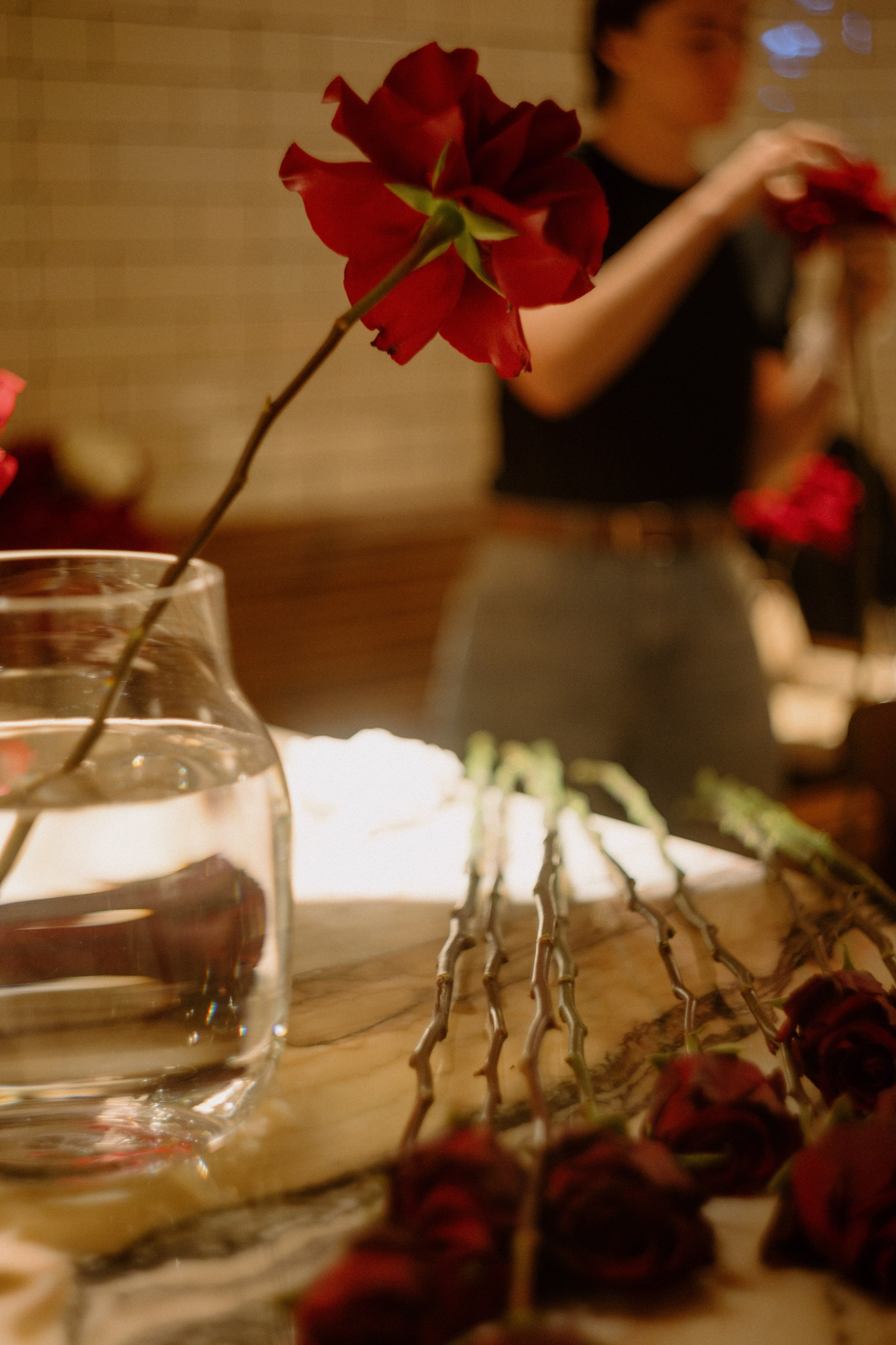 Carniceria vino. Frantova