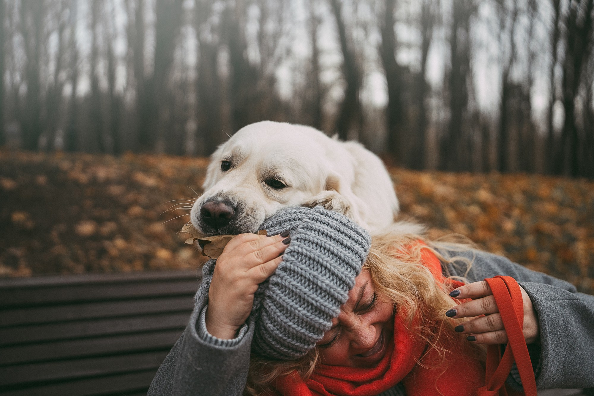 Лена и Мерлин. Фотограф анималист в Москве и Санкт-Петербурге Свиридова Анна