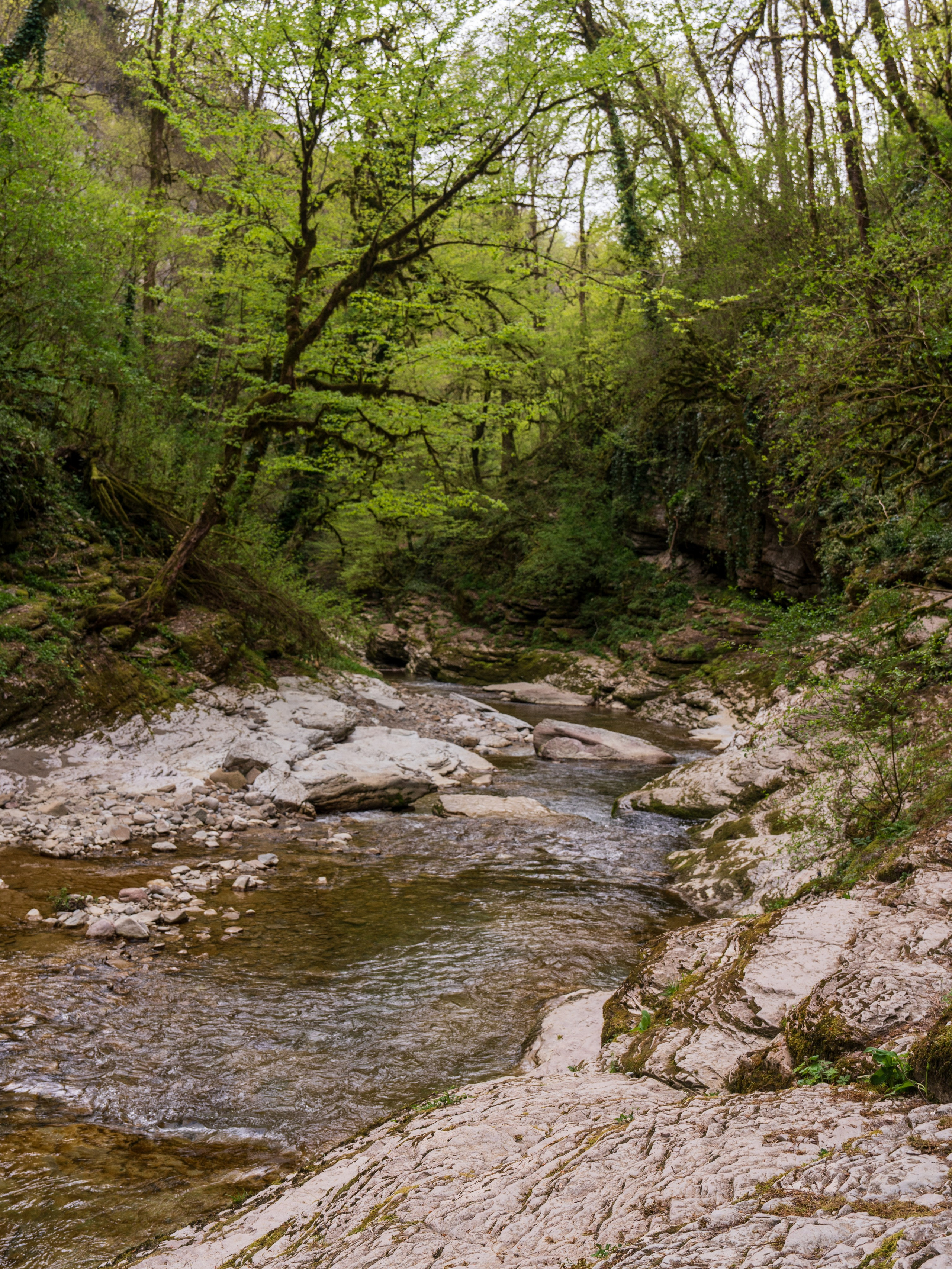 MICE мероприятие — джиппинг на каньон Псахо. Репортажный фотограф в Красной Поляне и Сочи Павлюченко Екатерина