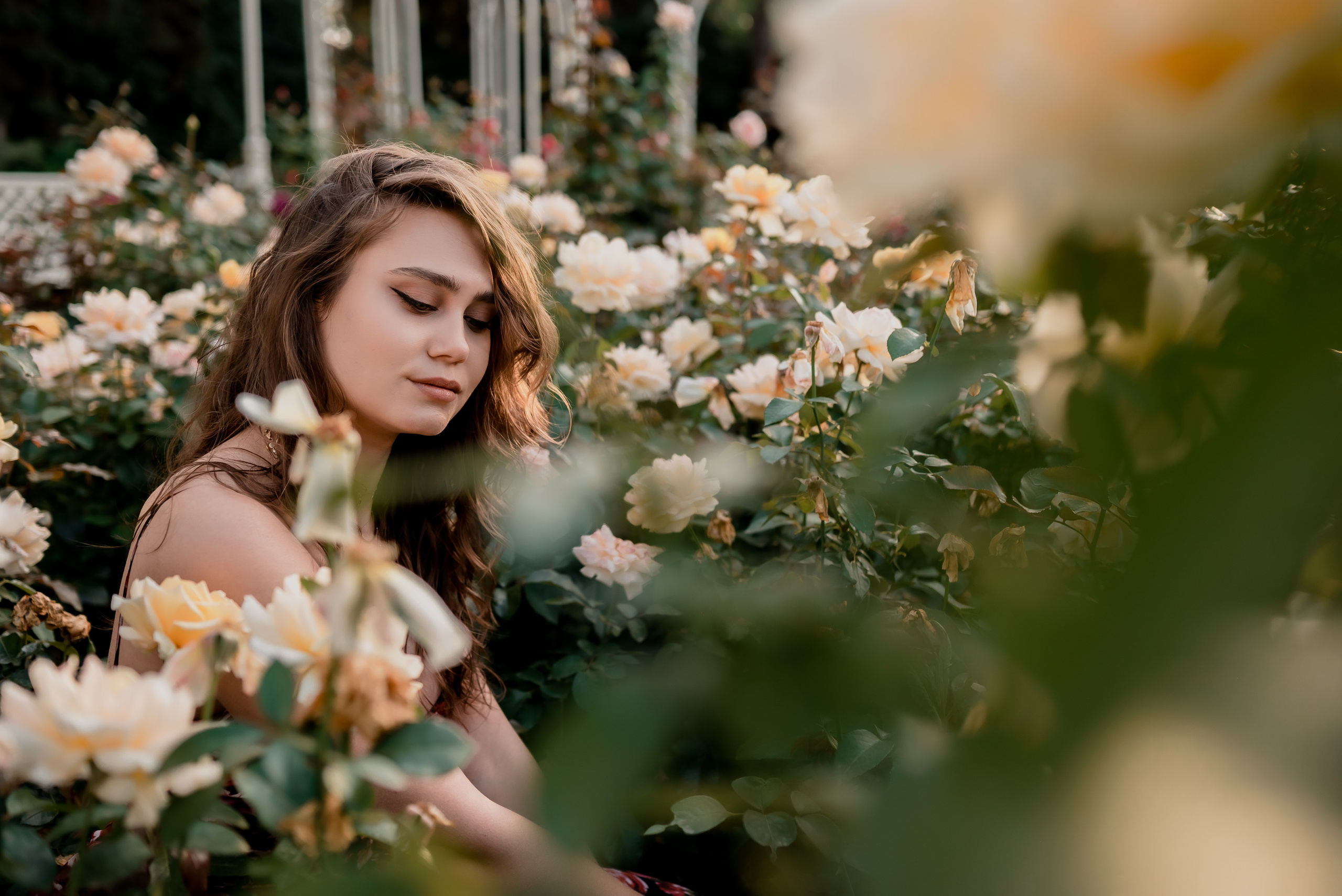 Последние дни лета. Фотограф Дарья Сафонова Dashulkacss