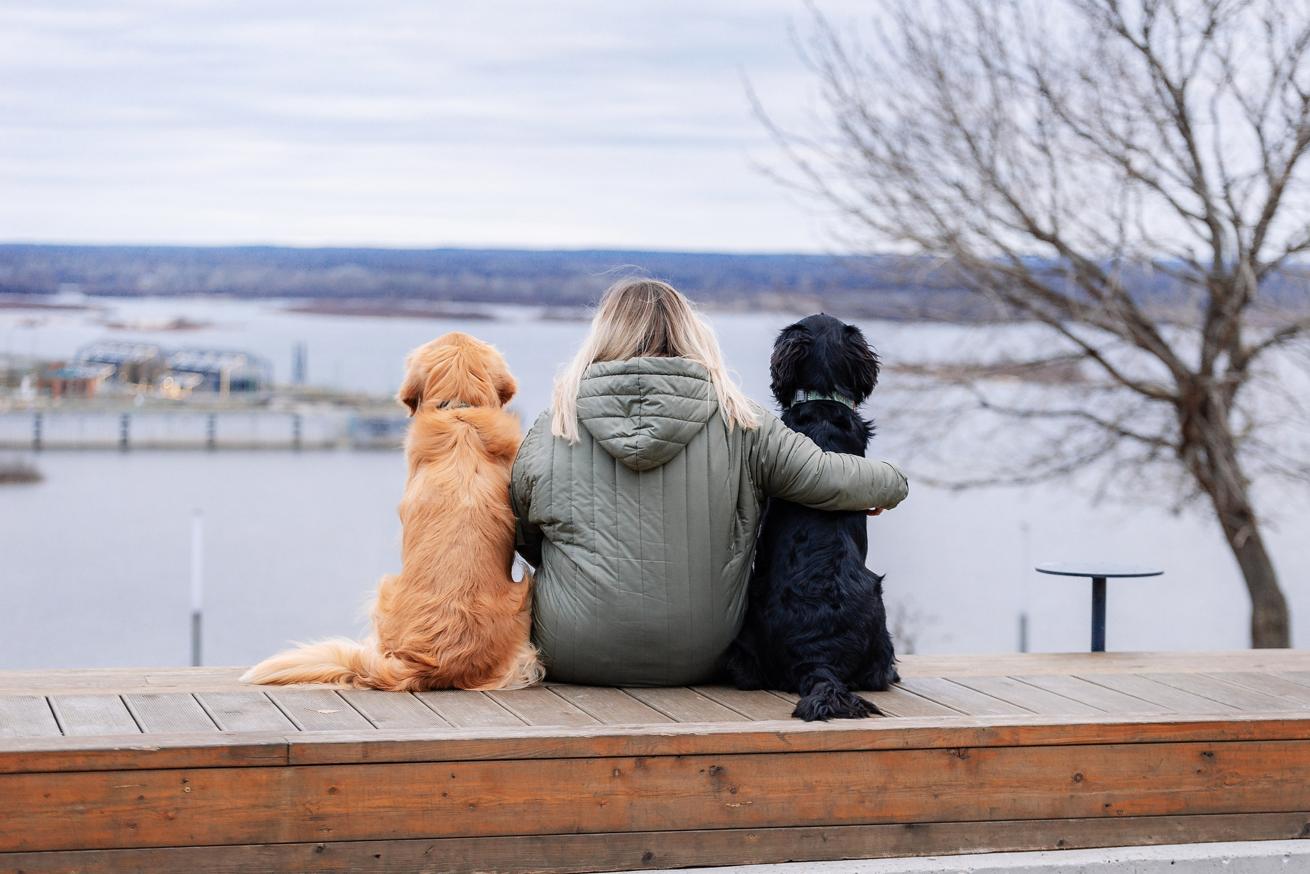 Юля, Стёпа и Мята. Фотограф-анималист Анастасия Парфенова|Екатеринбург