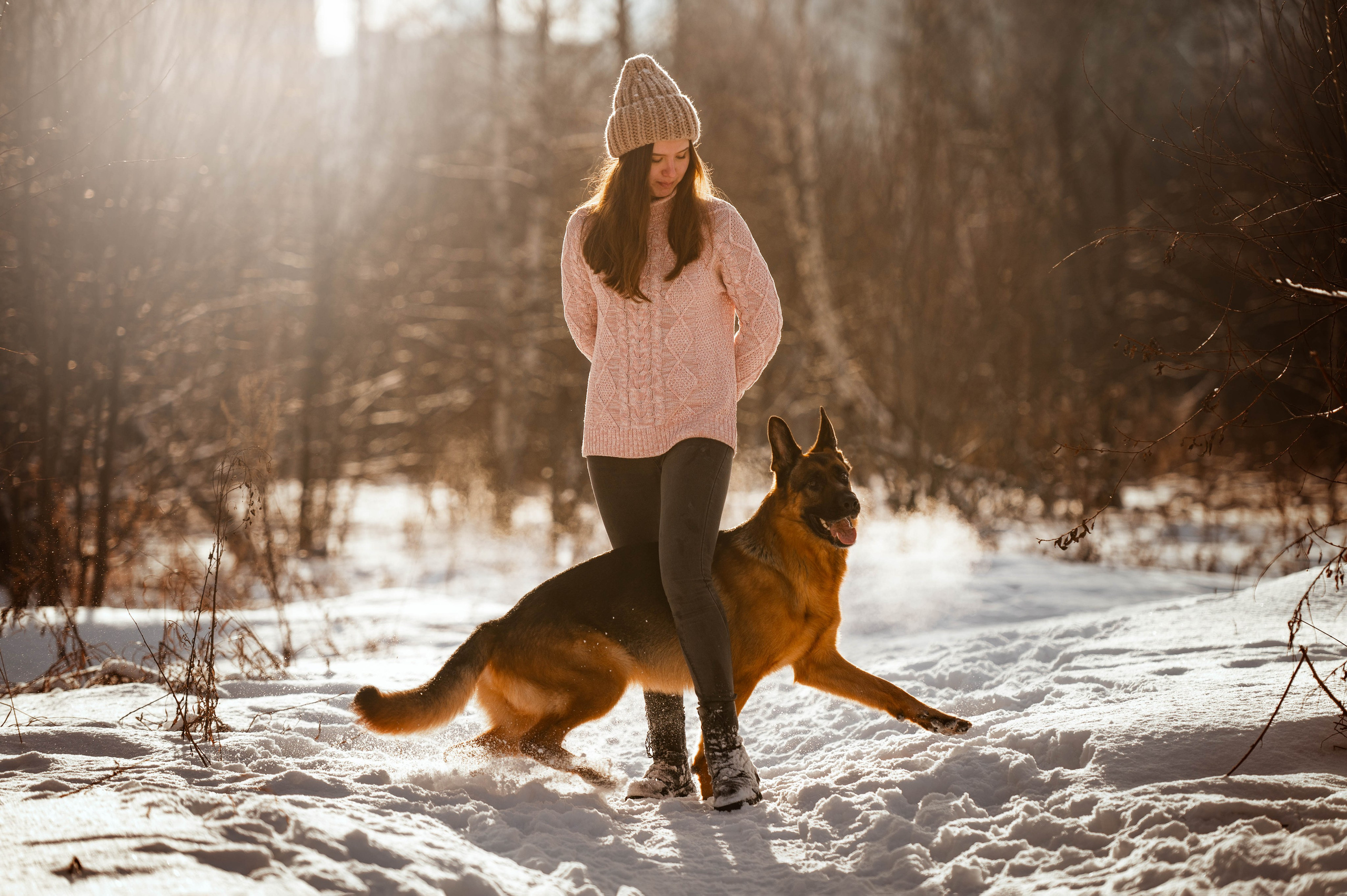 Вольт. Фотограф-анималист