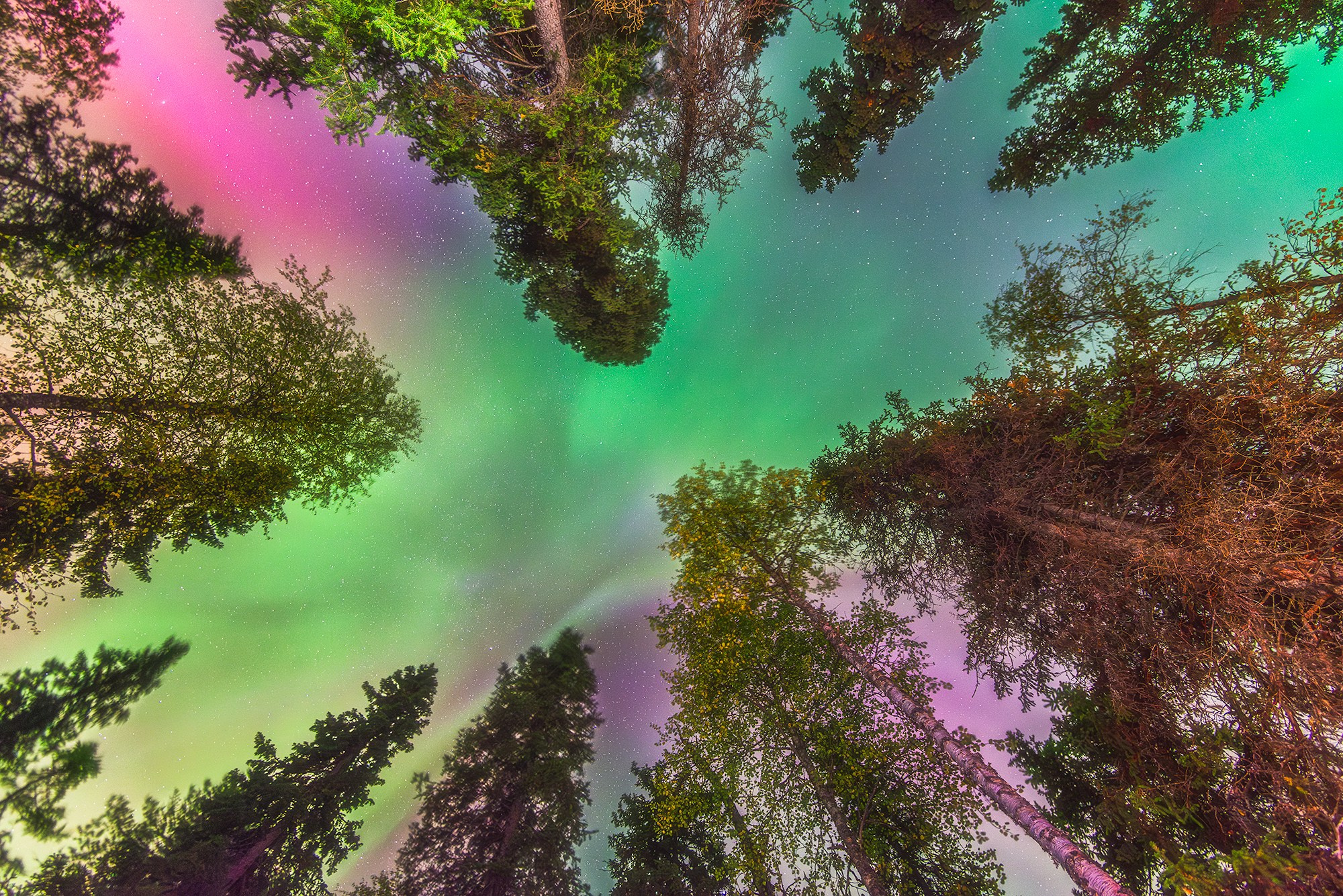 Северное сияние. Аэросъемка в Архангельске, Александр Ермолин