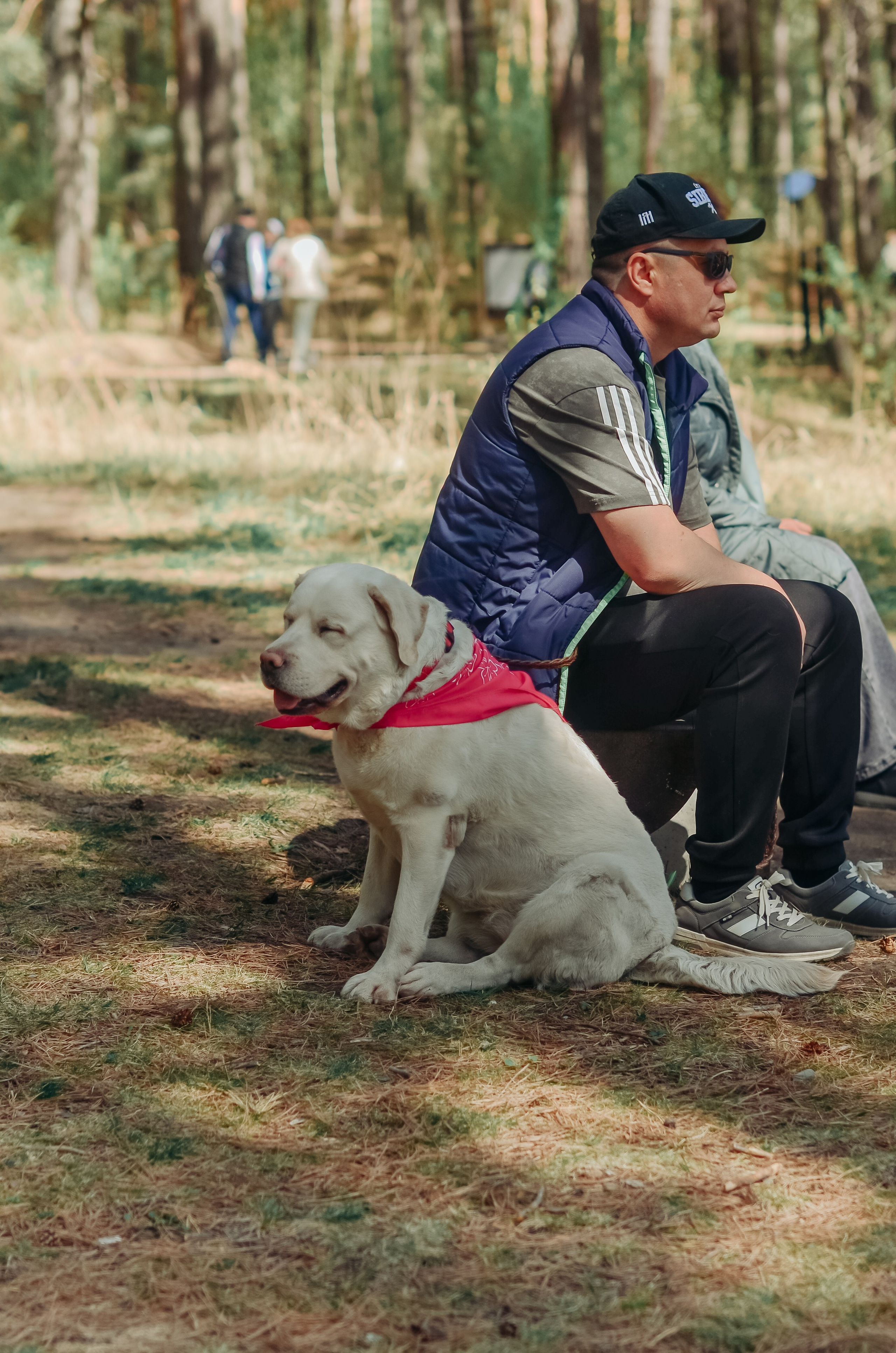 Фестиваль «Цветение Маральника на Алтае 2025». Фоторепортаж. Денисова Аля — фотограф для парных съемок и индивидуальных историй в Барнауле