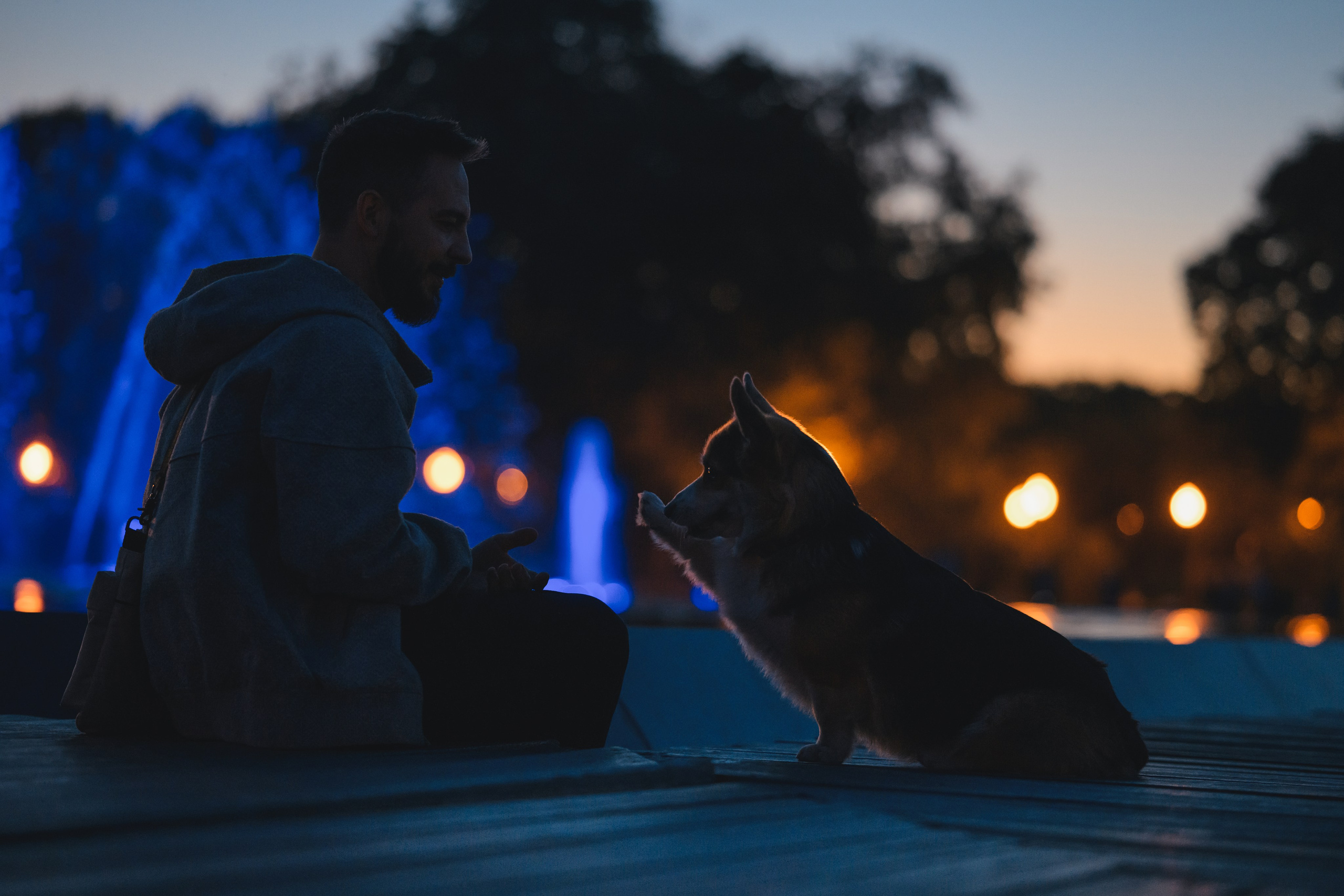 Ева, Леша и Лаванда. Фотограф Анималист в Москве Анастасия Жучкова