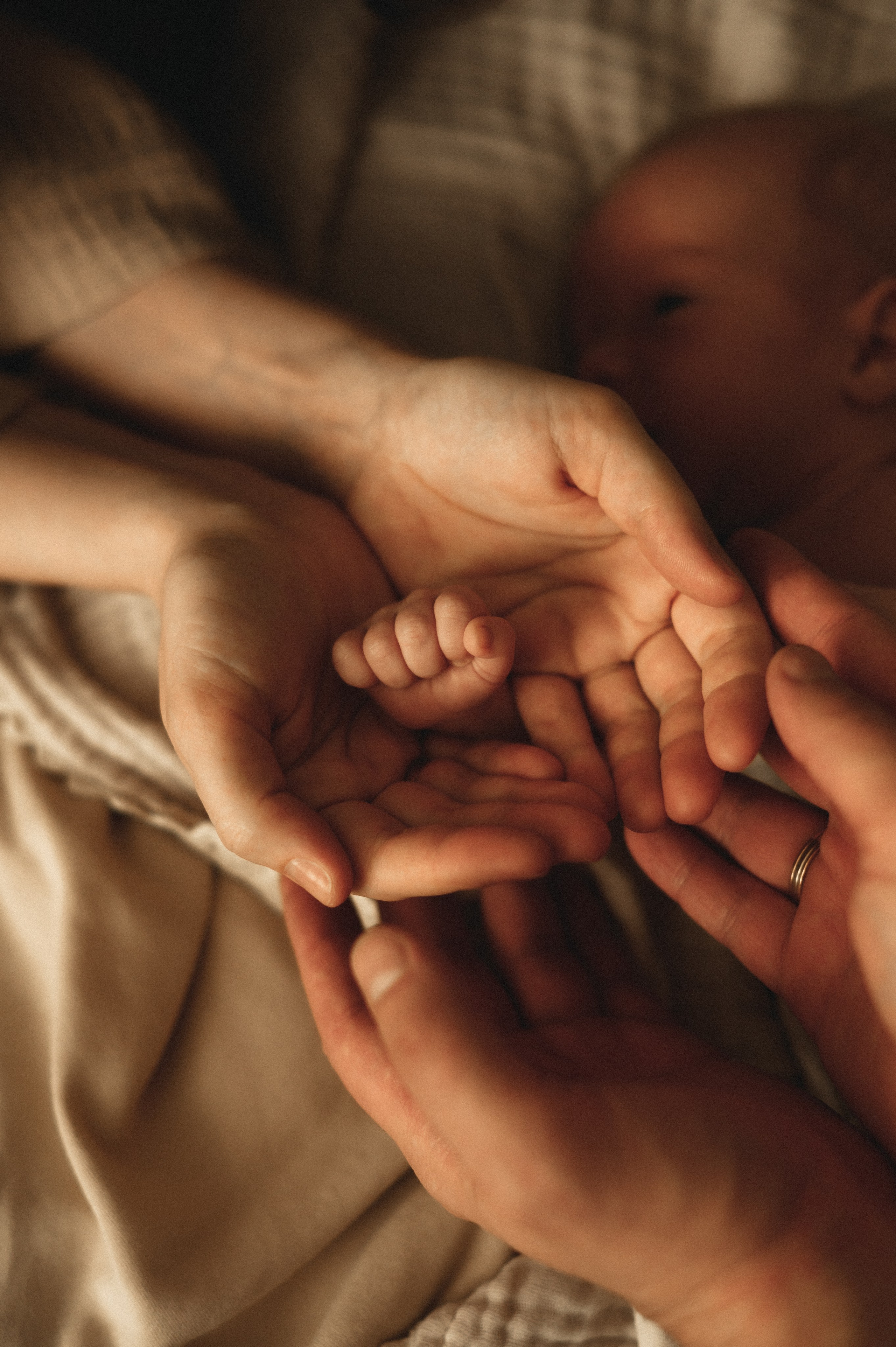 Первый месяц. Мама, папа и малыш. Семейный фотограф в г. Ставрополь, Сорокина Мария