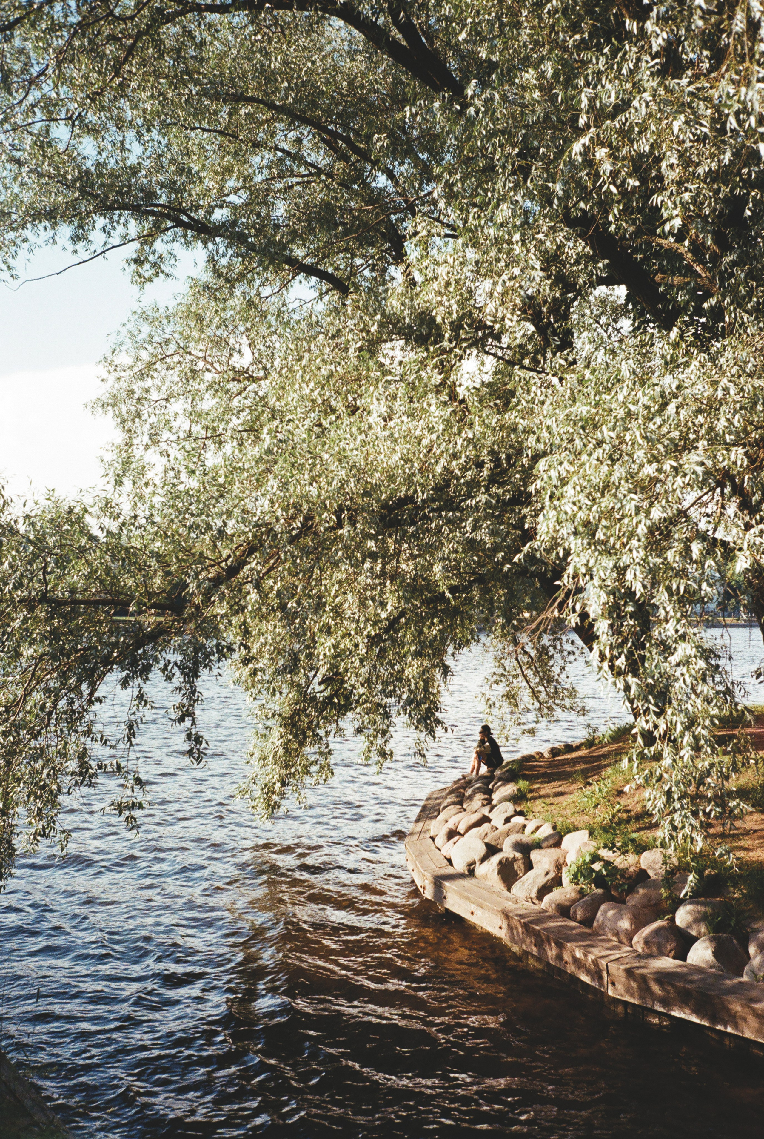 Фотографии цветные. Свадебный и семейный пленочный фотограф в Петербурге Истомина Ирина