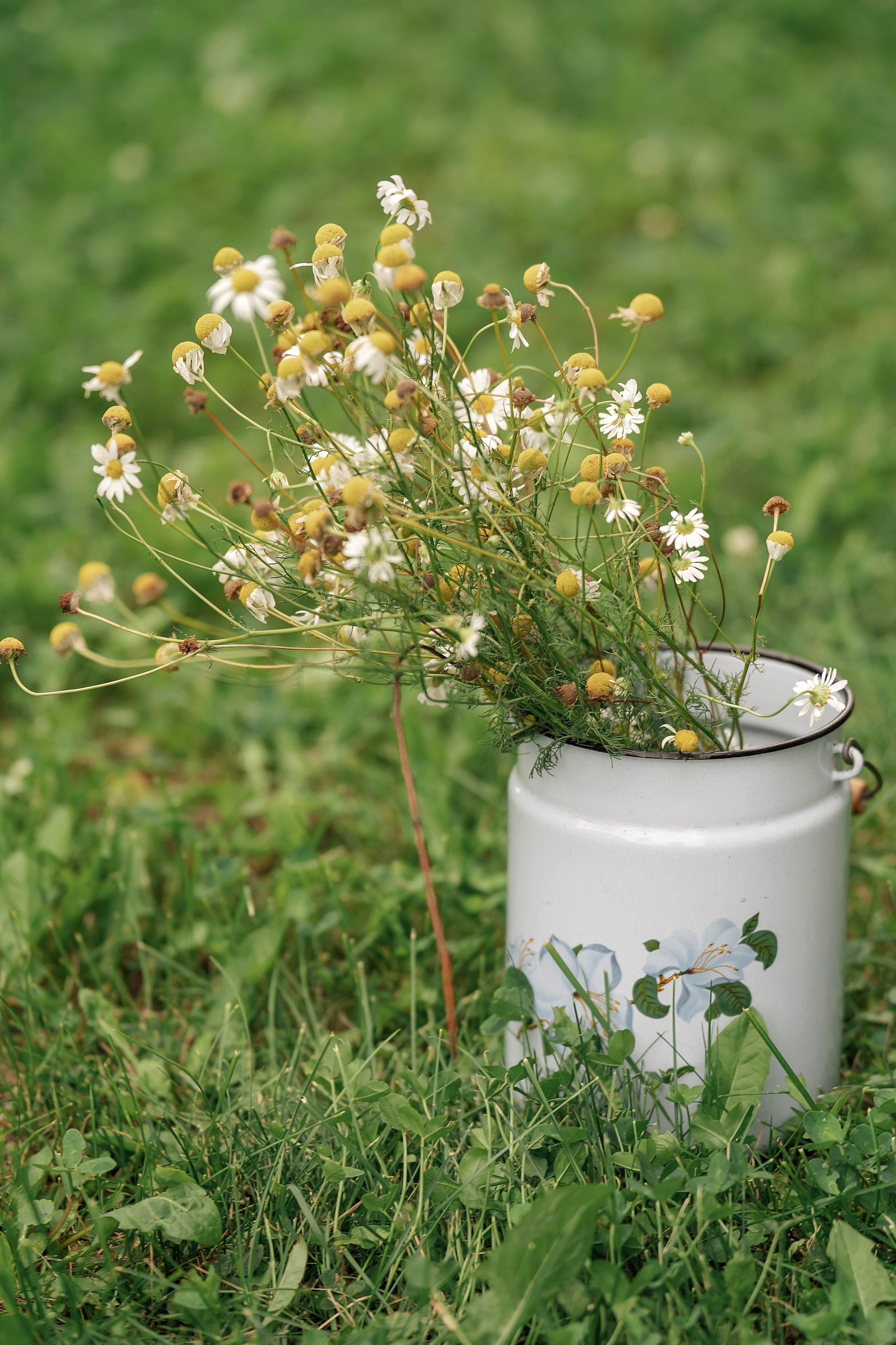 Семейная. Семейный и портретный фотограф в г. Орск Алишер Азимов
