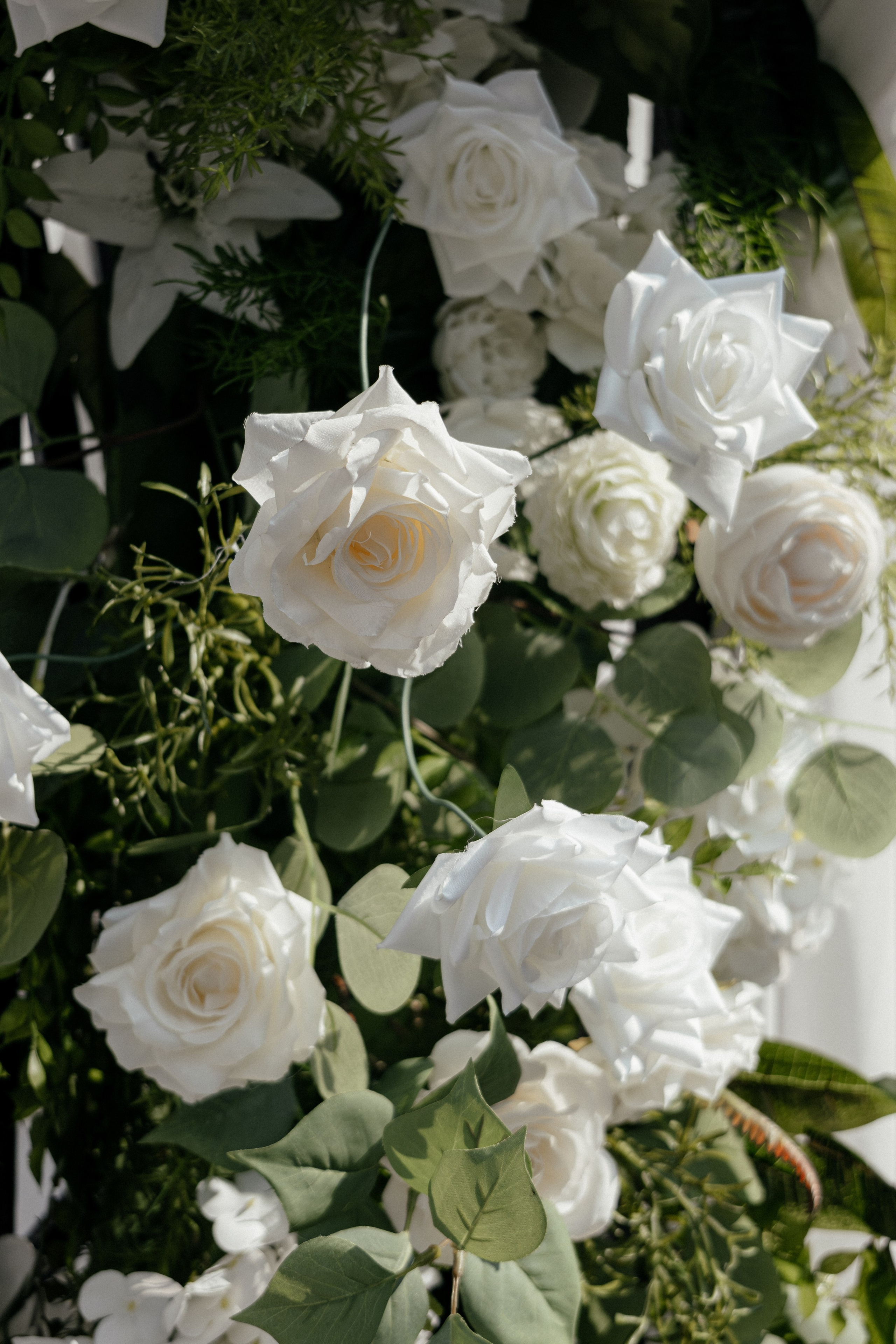 Максим и Анастасия