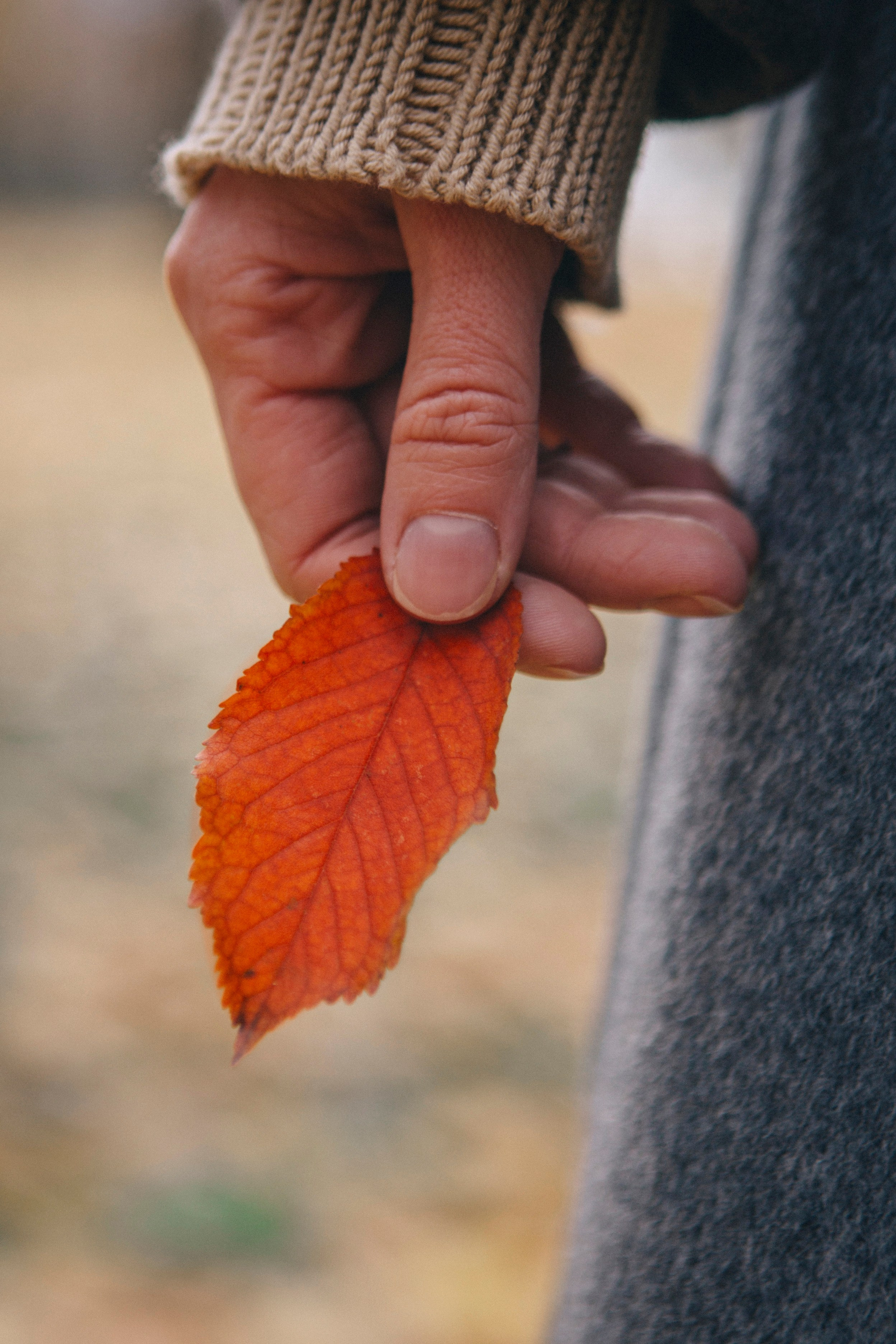 Исчезнувшая. Портретный фотограф в Минске