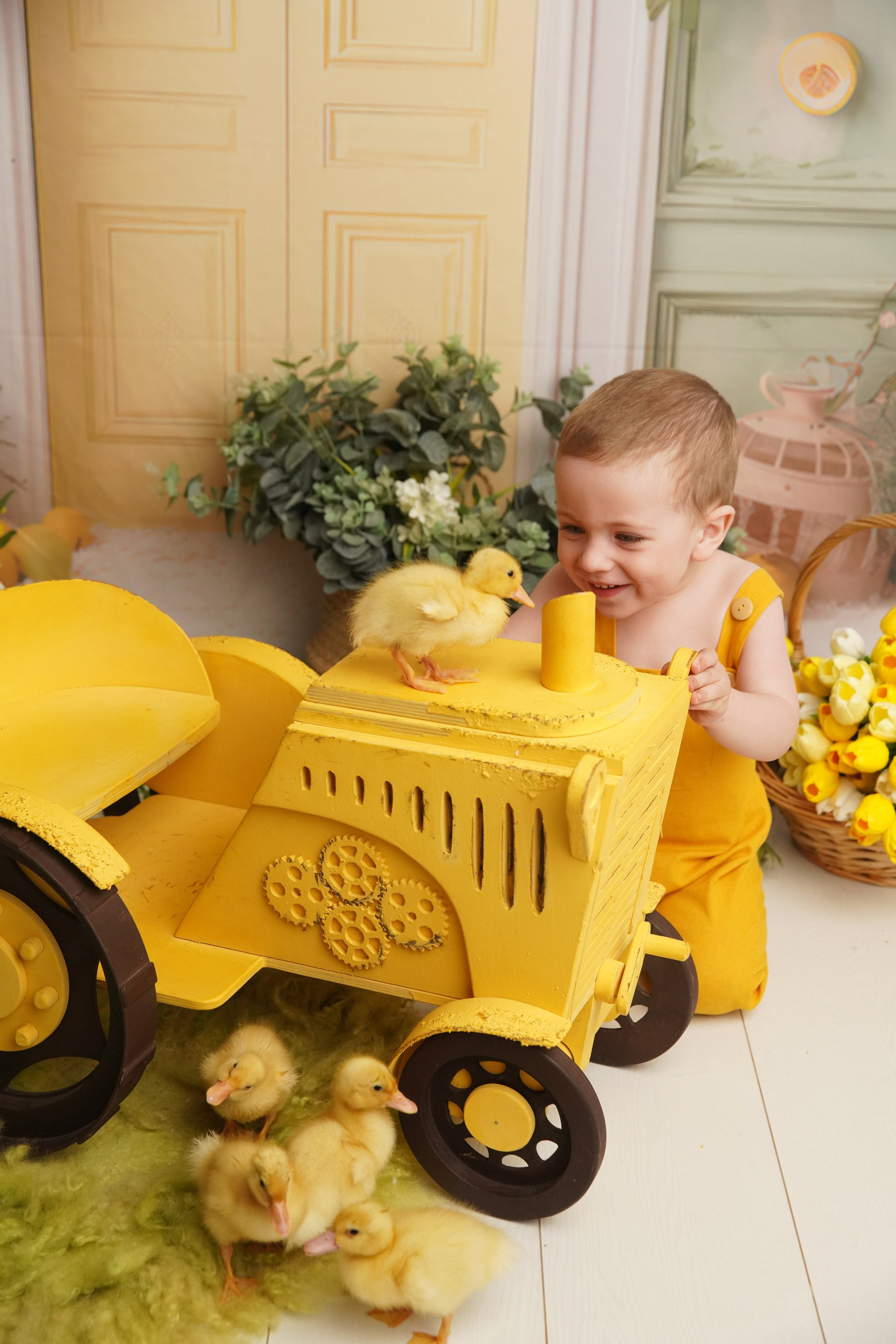 Утята. Фотограф новорожденных. Семейный и детский фотограф в городе Сургуте