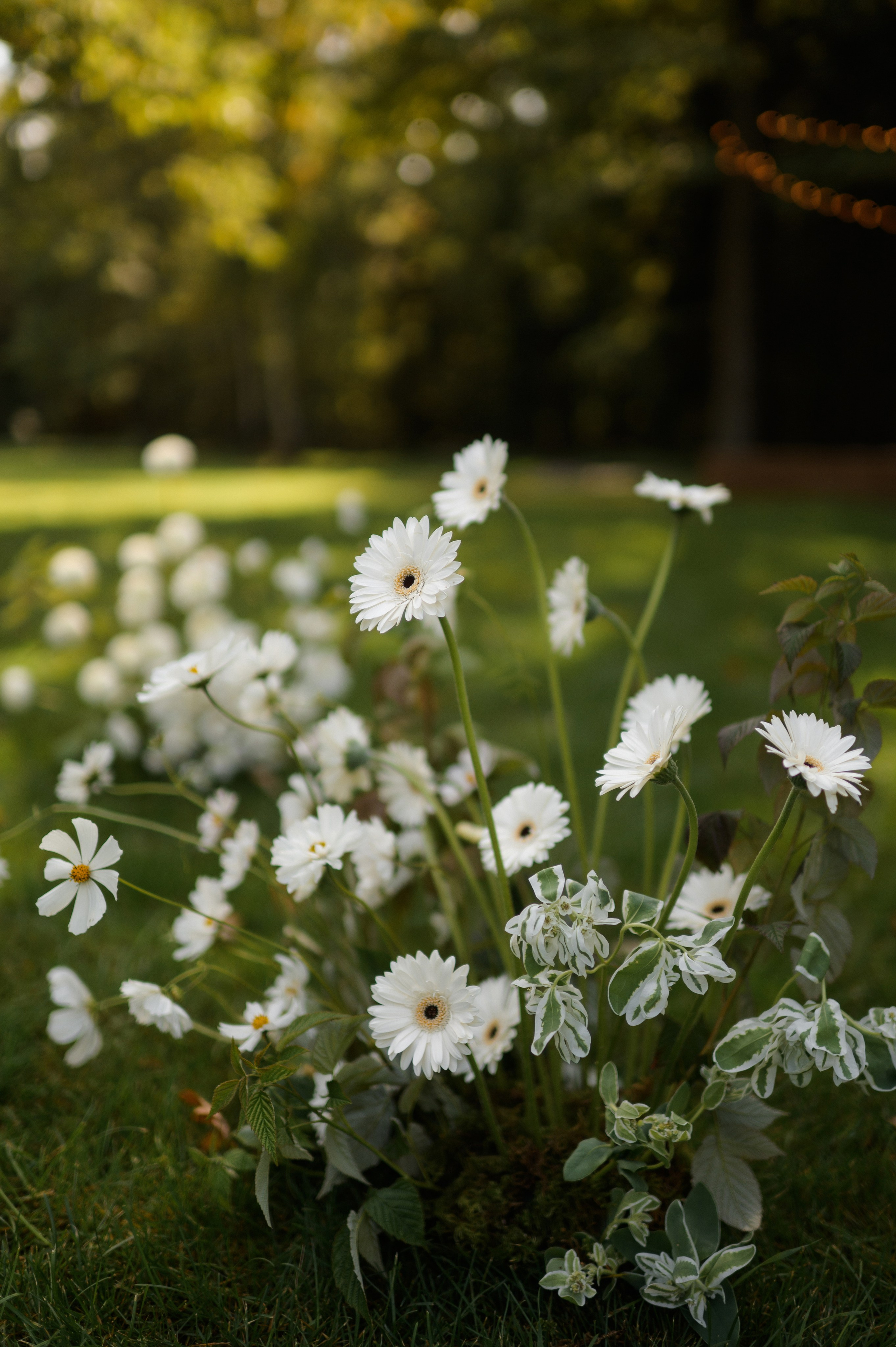 Вова и Поля 11.09.23. VENSKAYA WEDDING & EVENT PLANNER