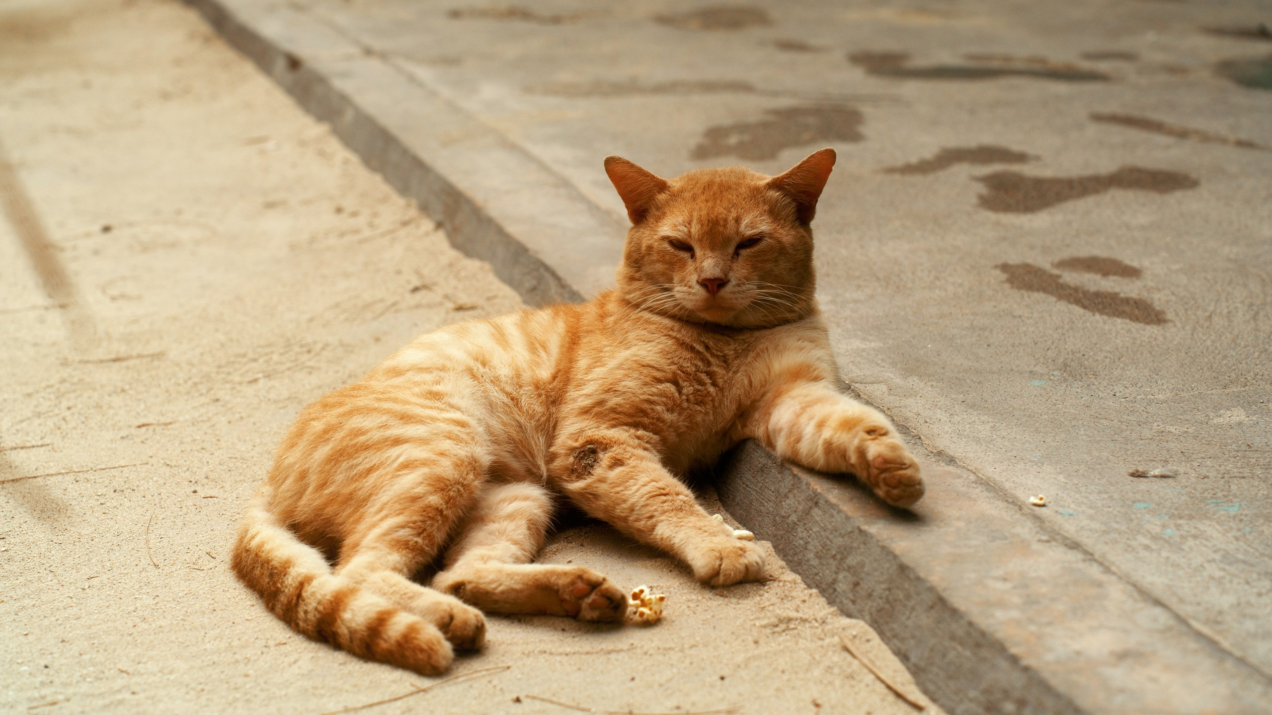 Ktokuda. Фотограф в Хабаровске. Фотография за 24 часа