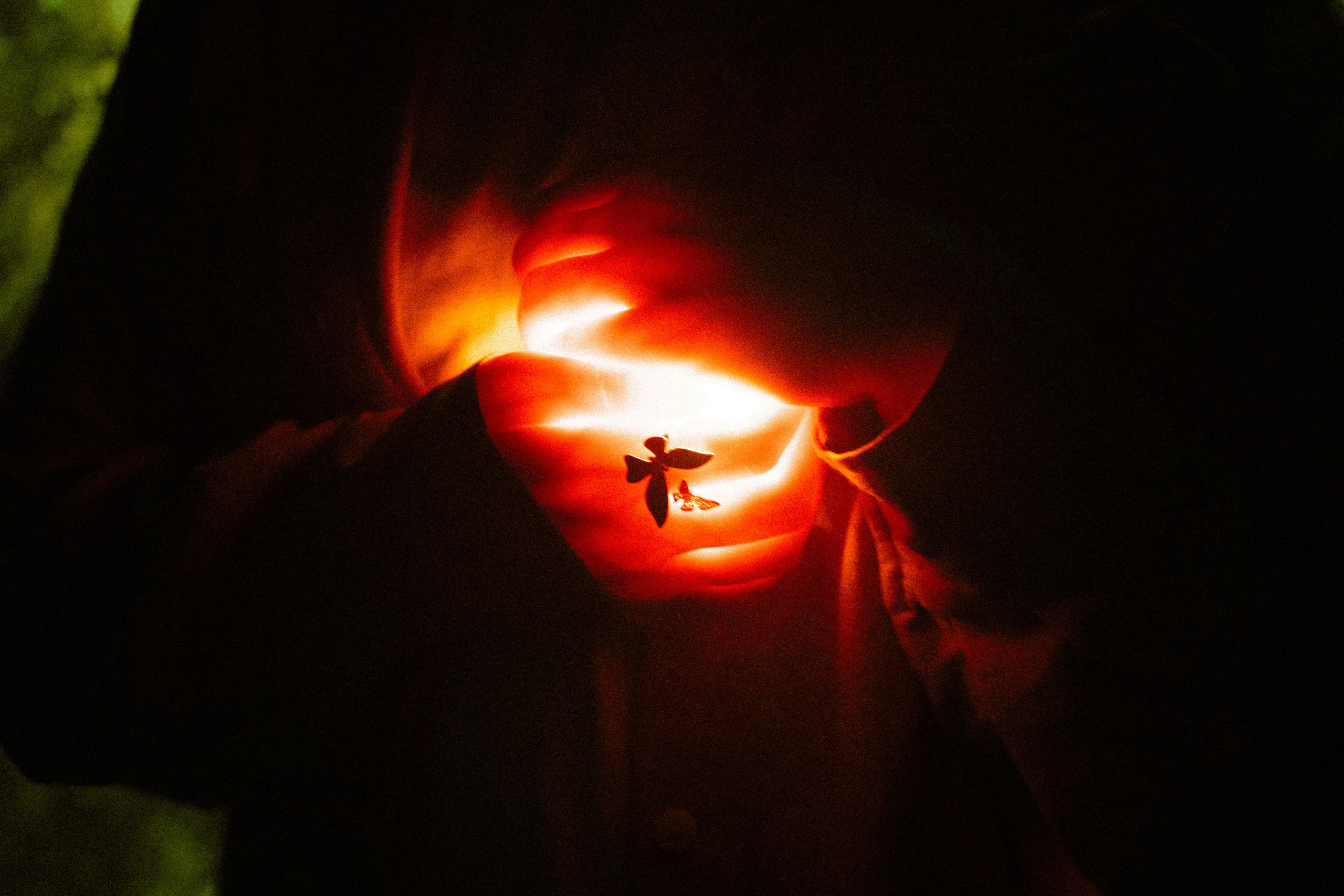 Danko's flaming heart. Polypolarphotography