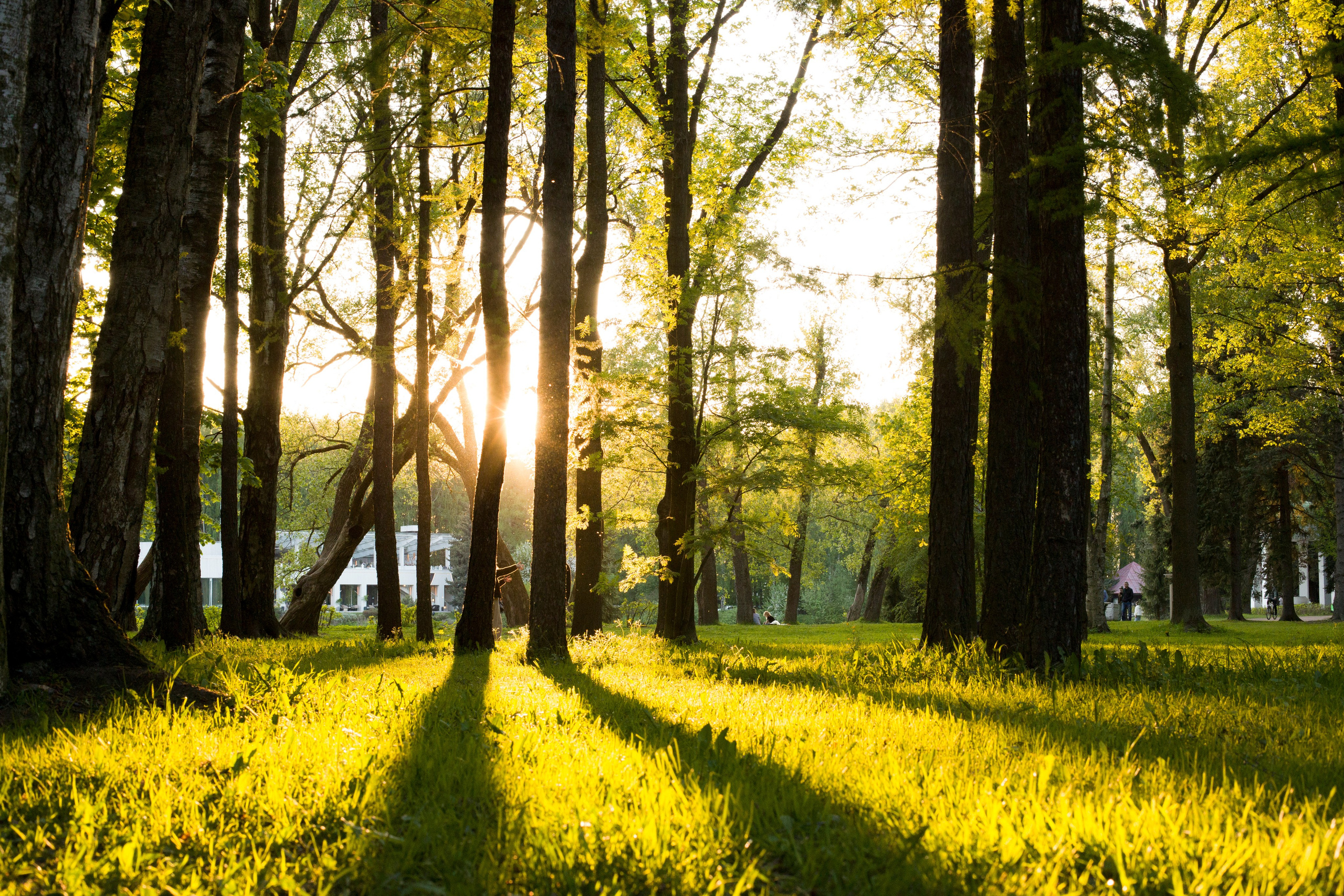 Санкт-Петербург