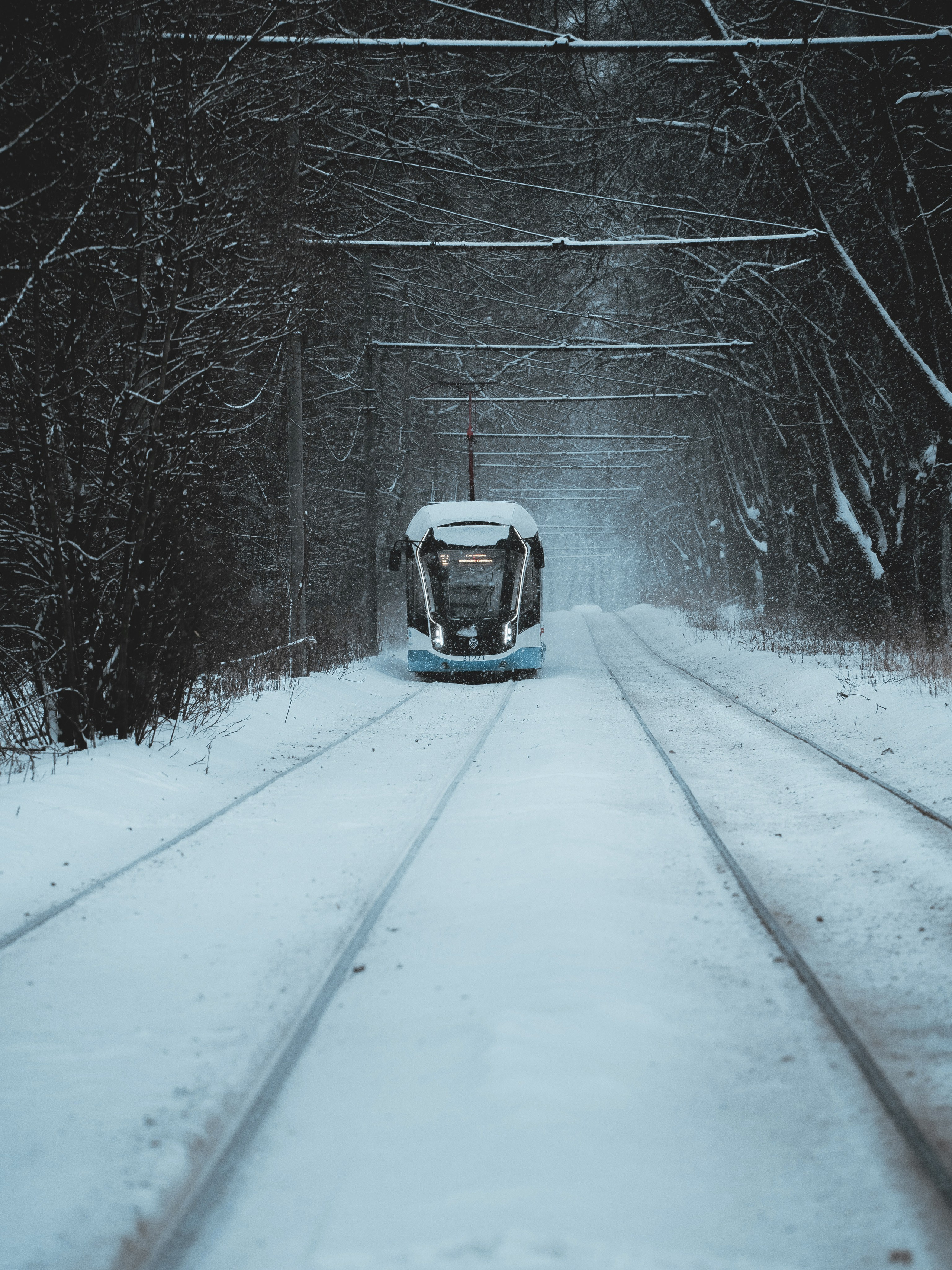 УЛИЧНАЯ ФОТОГРАФИЯ. Эд Тихонов. Городской фотограф