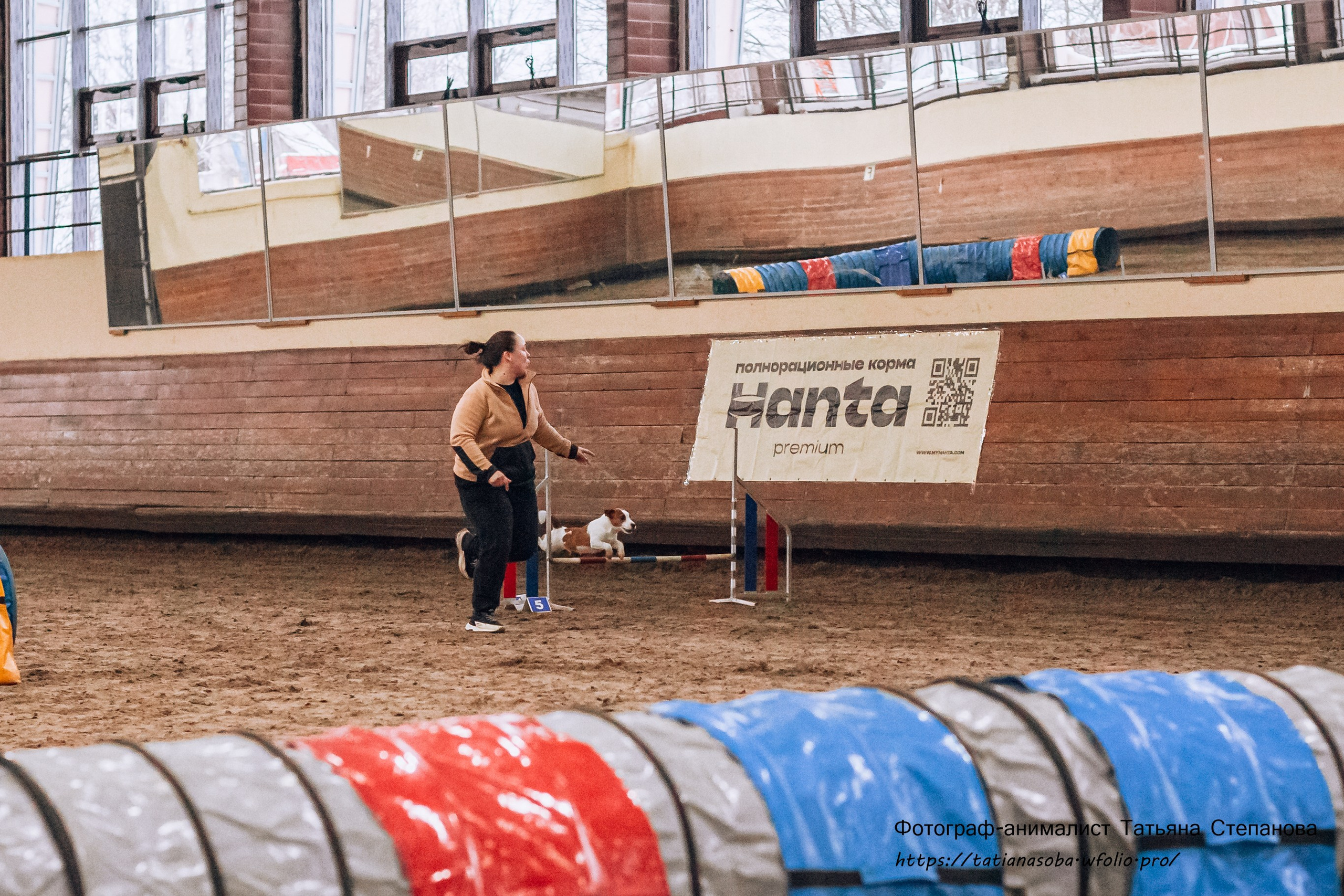 Соревнования по Аджилити 25.02.2024. Фотограф-анималист Татьяна Степанова