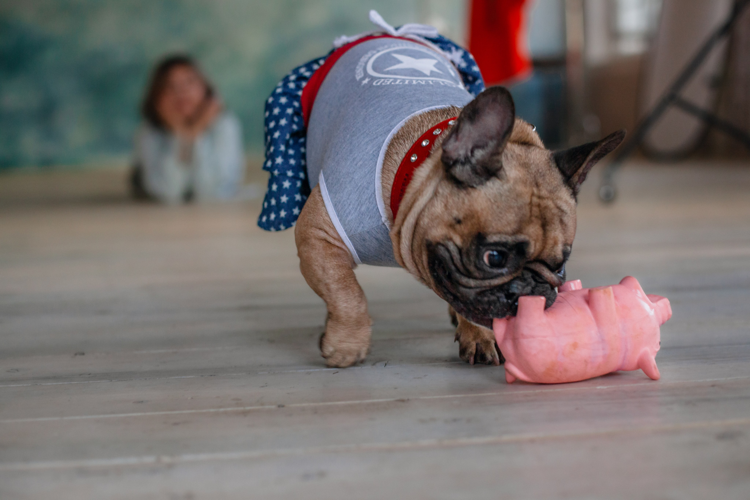 Наталья и Фрося. Фотограф-анималист Татьяна Степанова