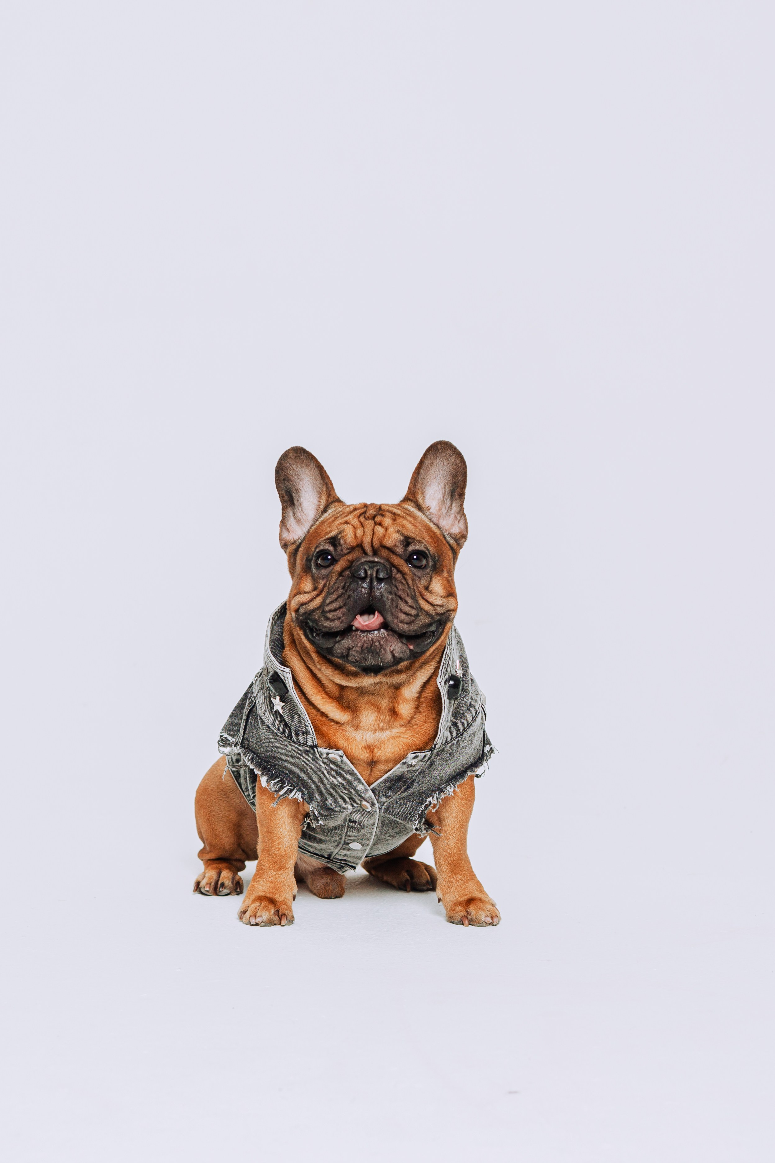 Бульвстреча 2025. Фотограф-анималист Татьяна Степанова