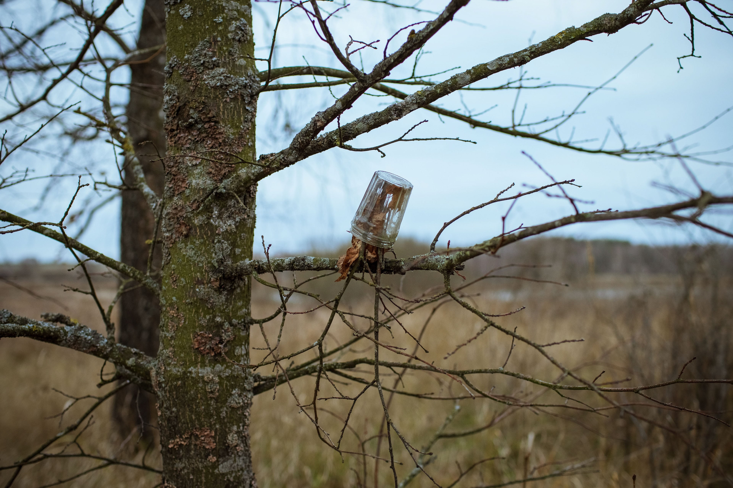 Новозыбков (осень 2021). Фотограф Виноградов Константин
