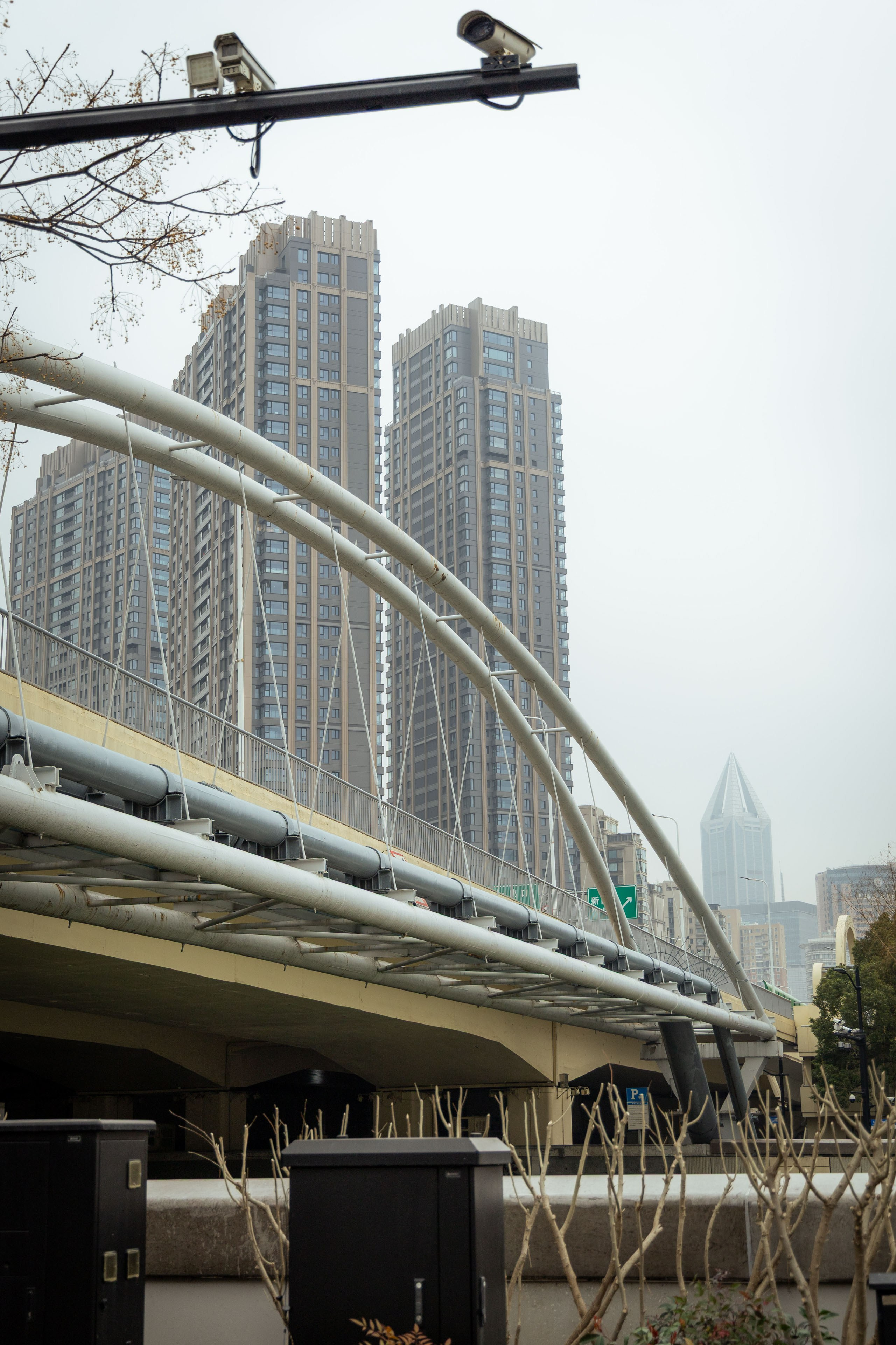 Шанхай (март 2026). Фотограф Виноградов Константин