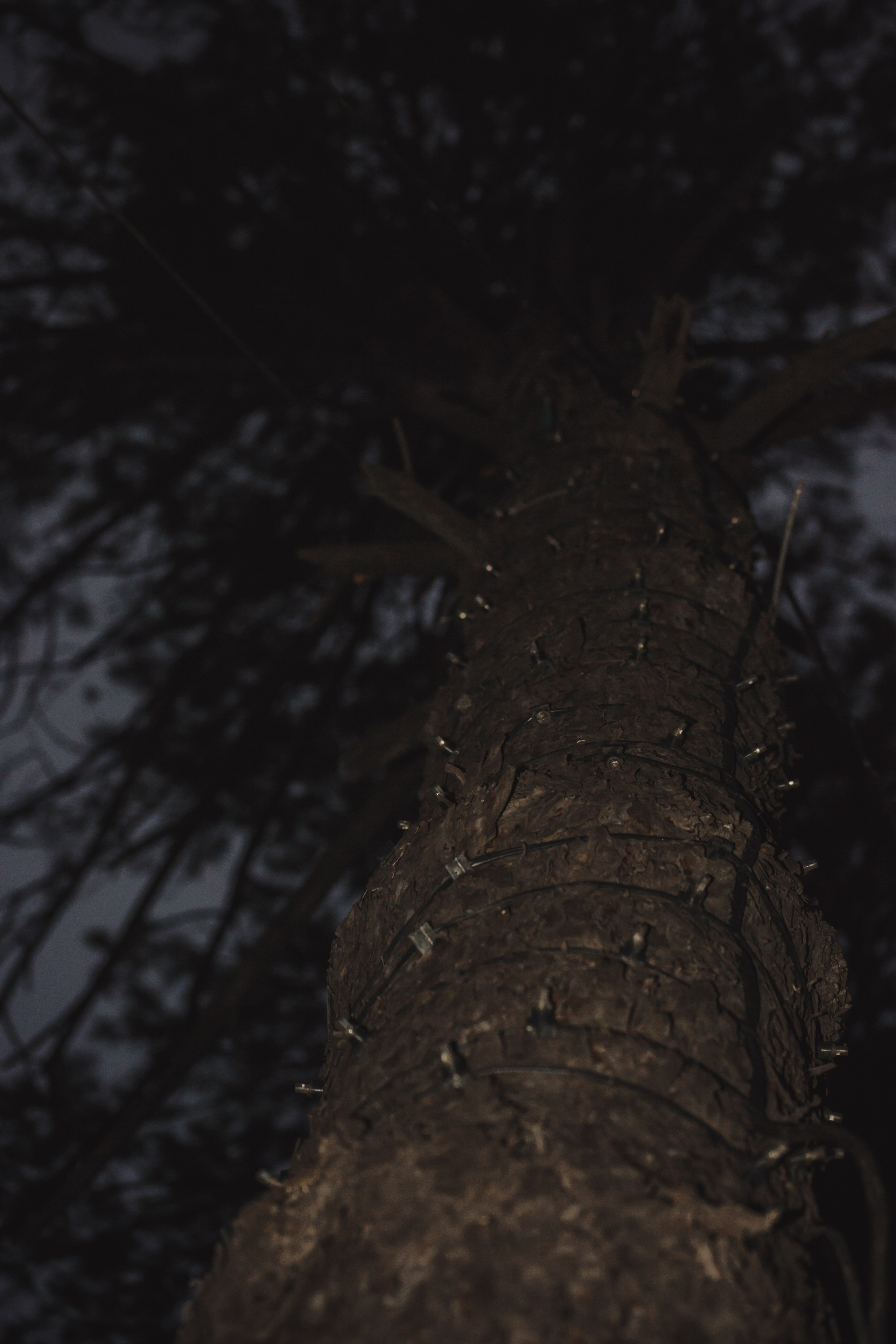 дачи, город, архитектура, стрит, репортажная фотография, фотография, Хабаровск, фотосессия, фотограф, дом, новостройка, улицы, жизнь города, town, art, photo, photographer, photo, Khabarovsk, Far East, street photo