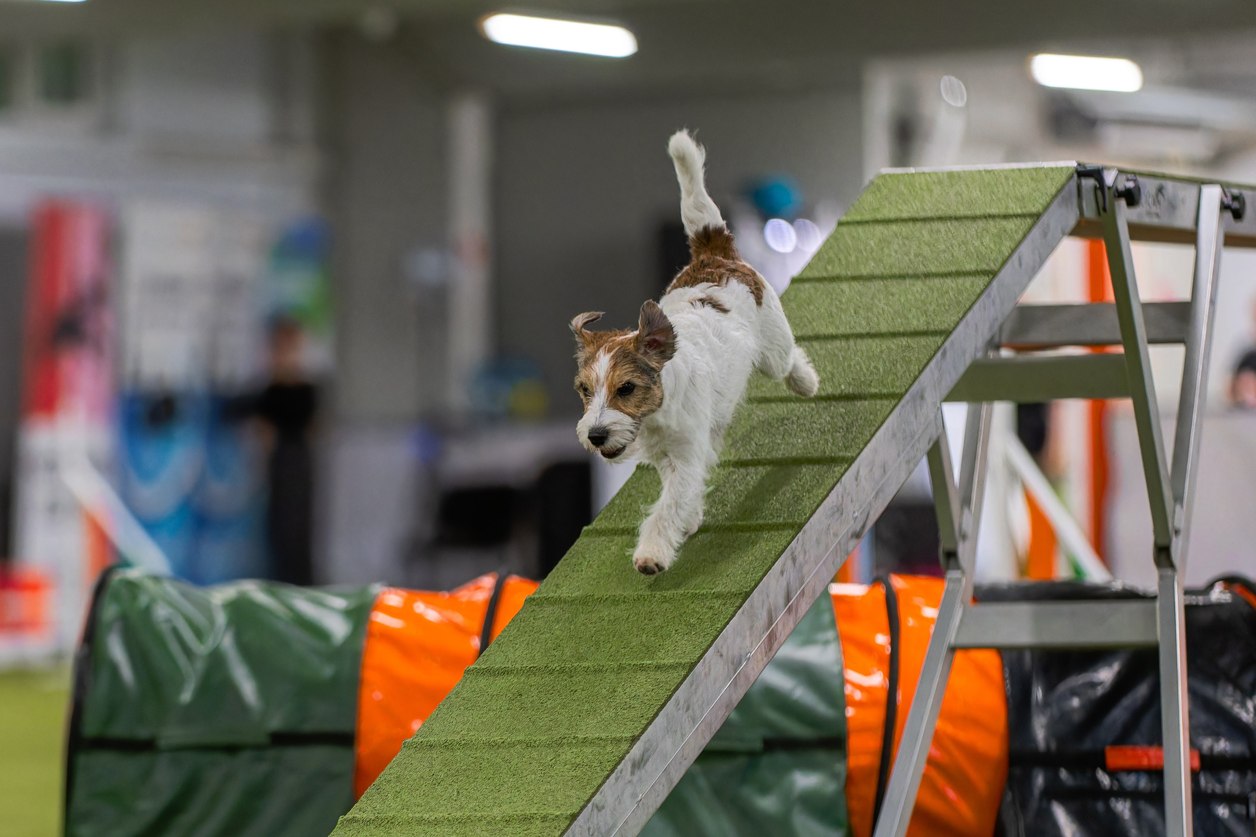 Baltic Cup 2024. Irenephoto.ru