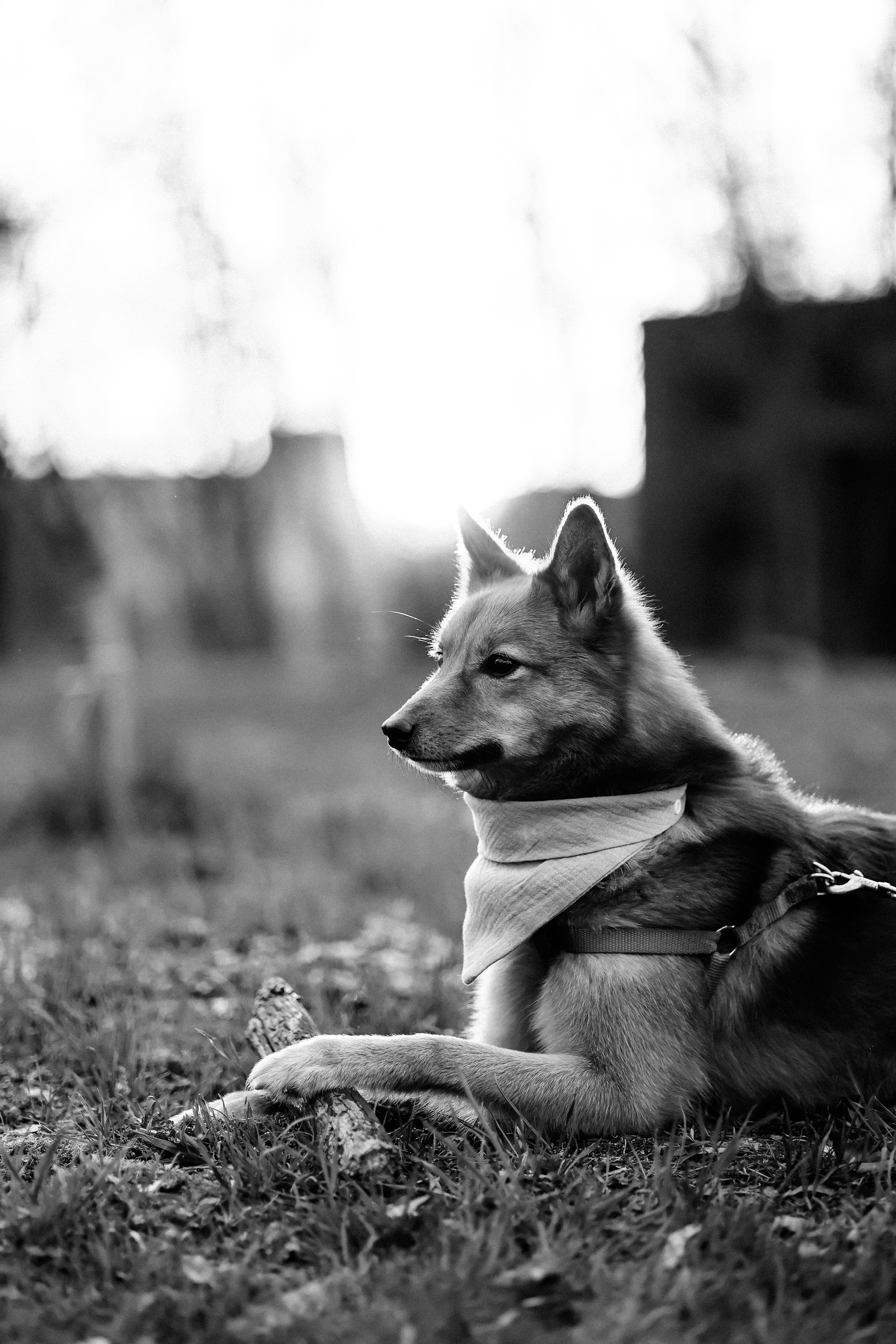 На закате. Фотограф Юлия Говор