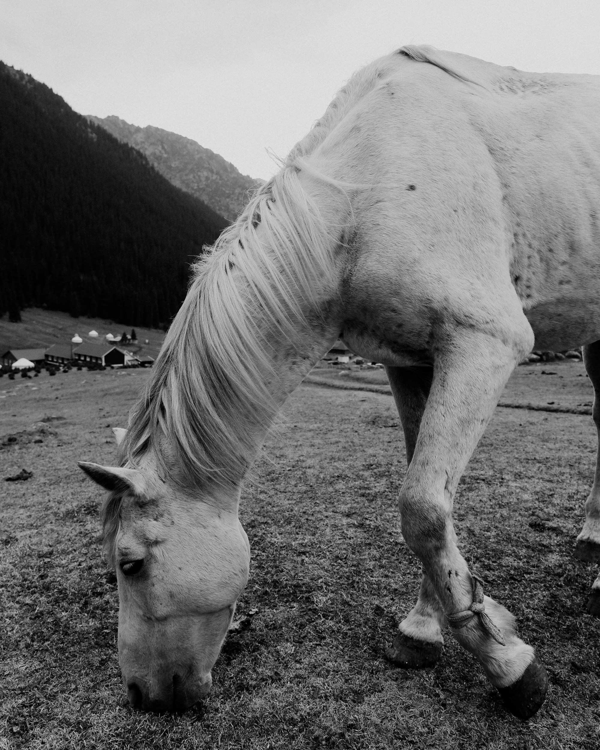 Кыргызстан. Фотограф Дмитрий Олрайт | Калуга, Россия