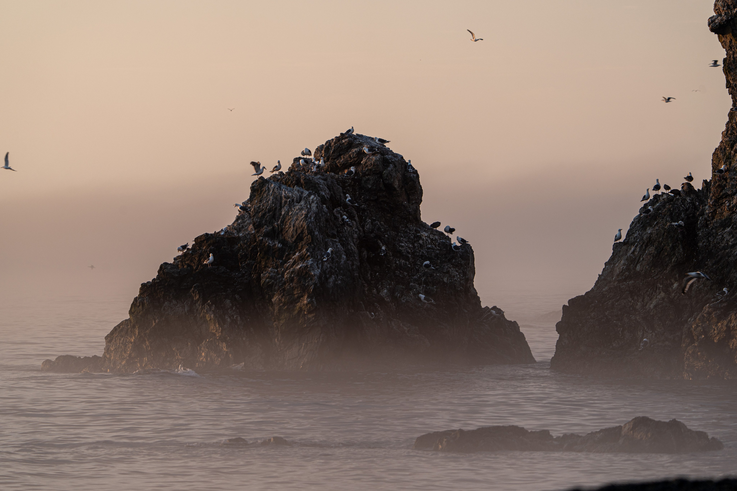 Сахалин 2025. Творческие сьемки