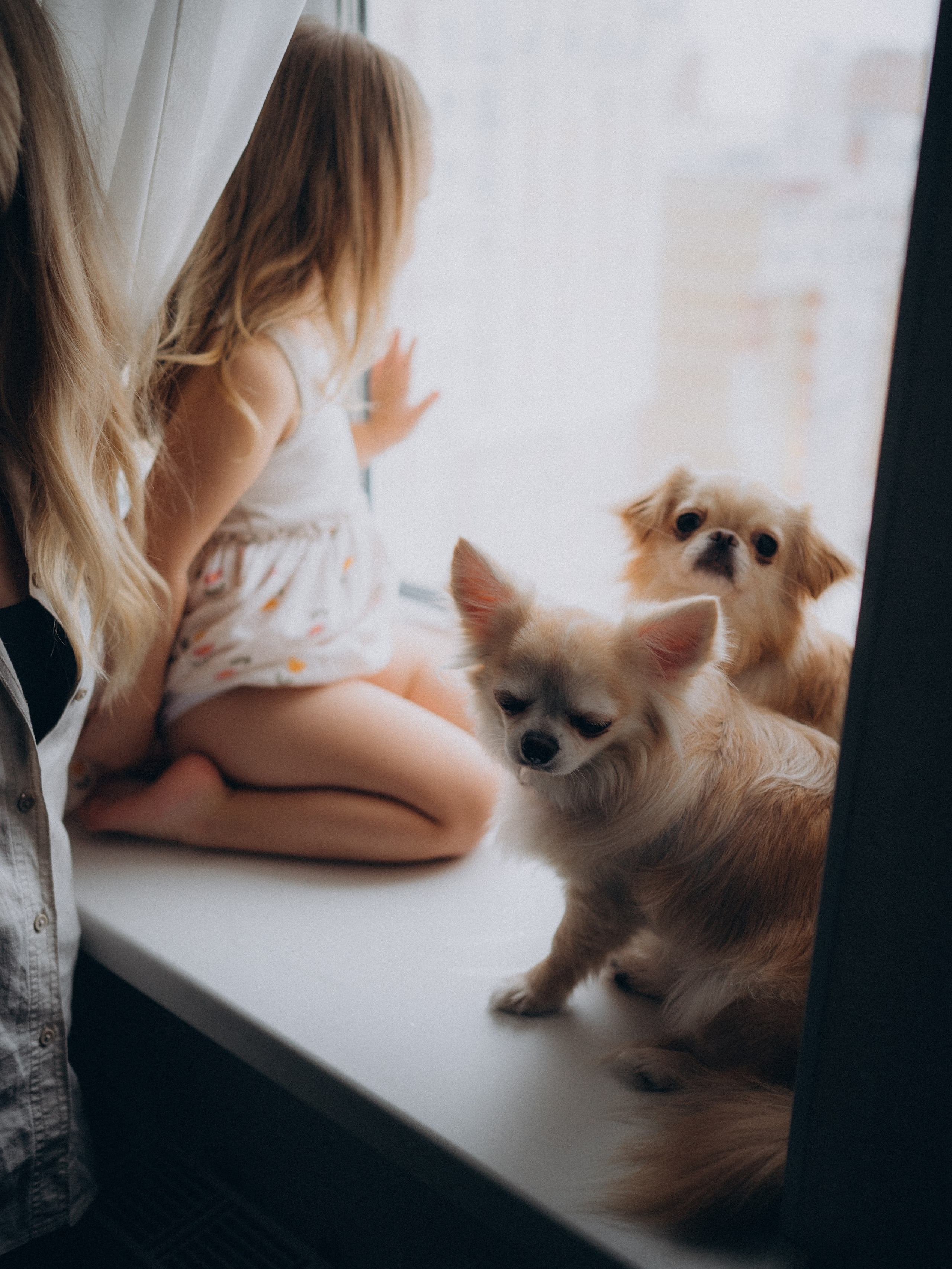 Домашняя фотосессия. Фотограф Любовь Подосенова Липецк|Воронеж