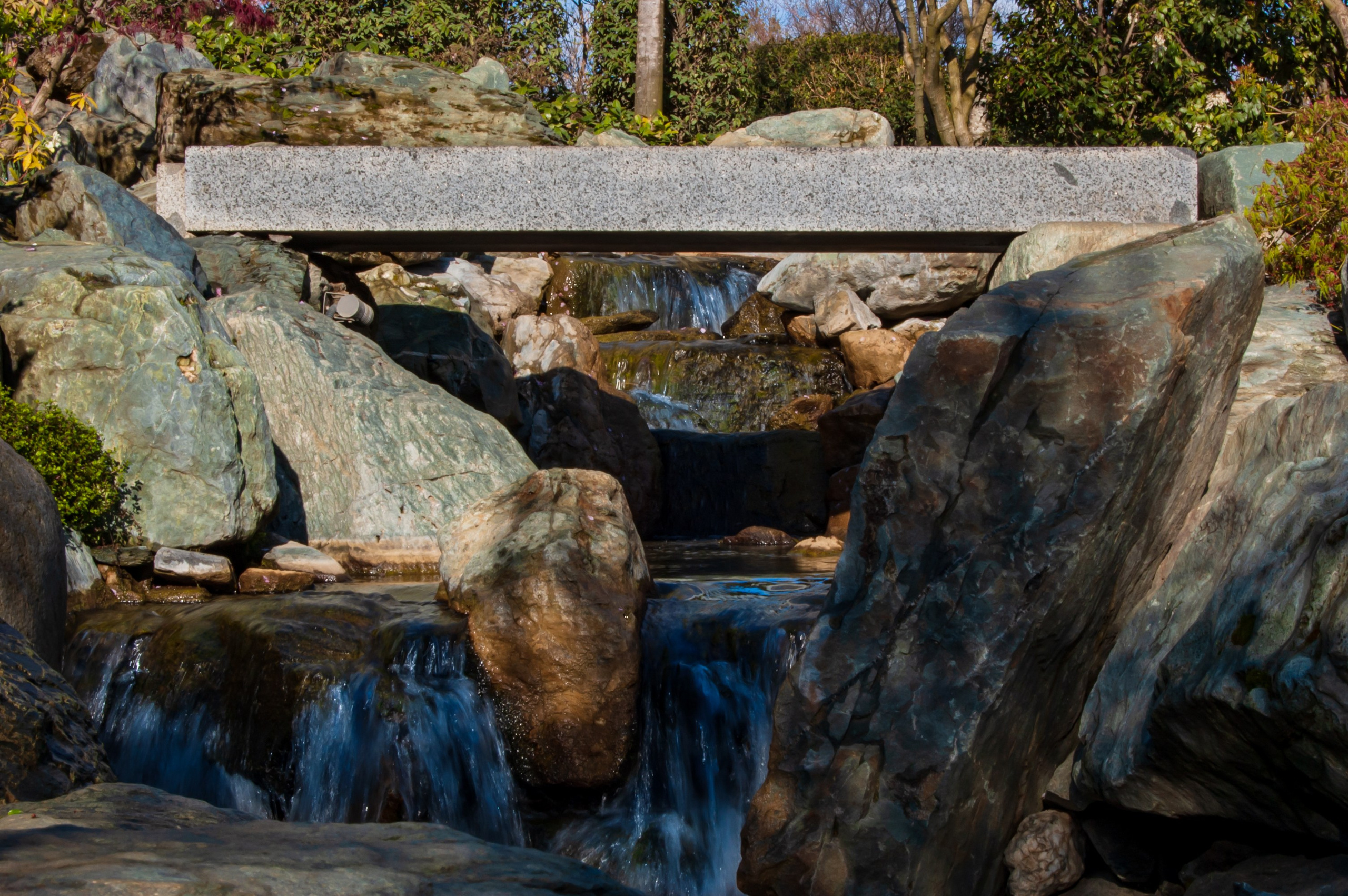 Фотосессия эстетики Японского сада в Краснодаре. Портретный фотограф в Краснодаре Слава Никитин
