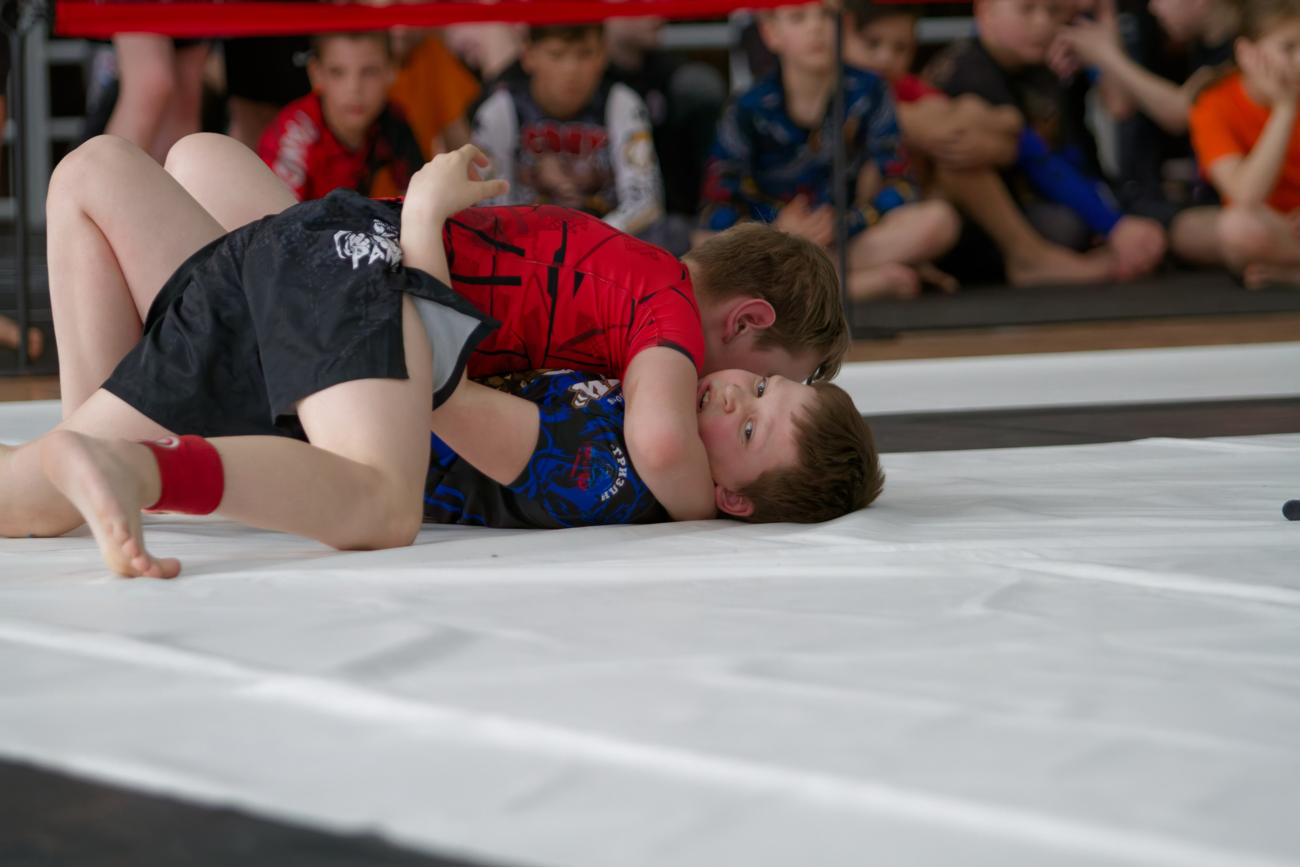 Борьба. Джиу-джитсу 26.04.2025. Репортажный и спортивный фотограф в г. Пермь Зильберг Павел