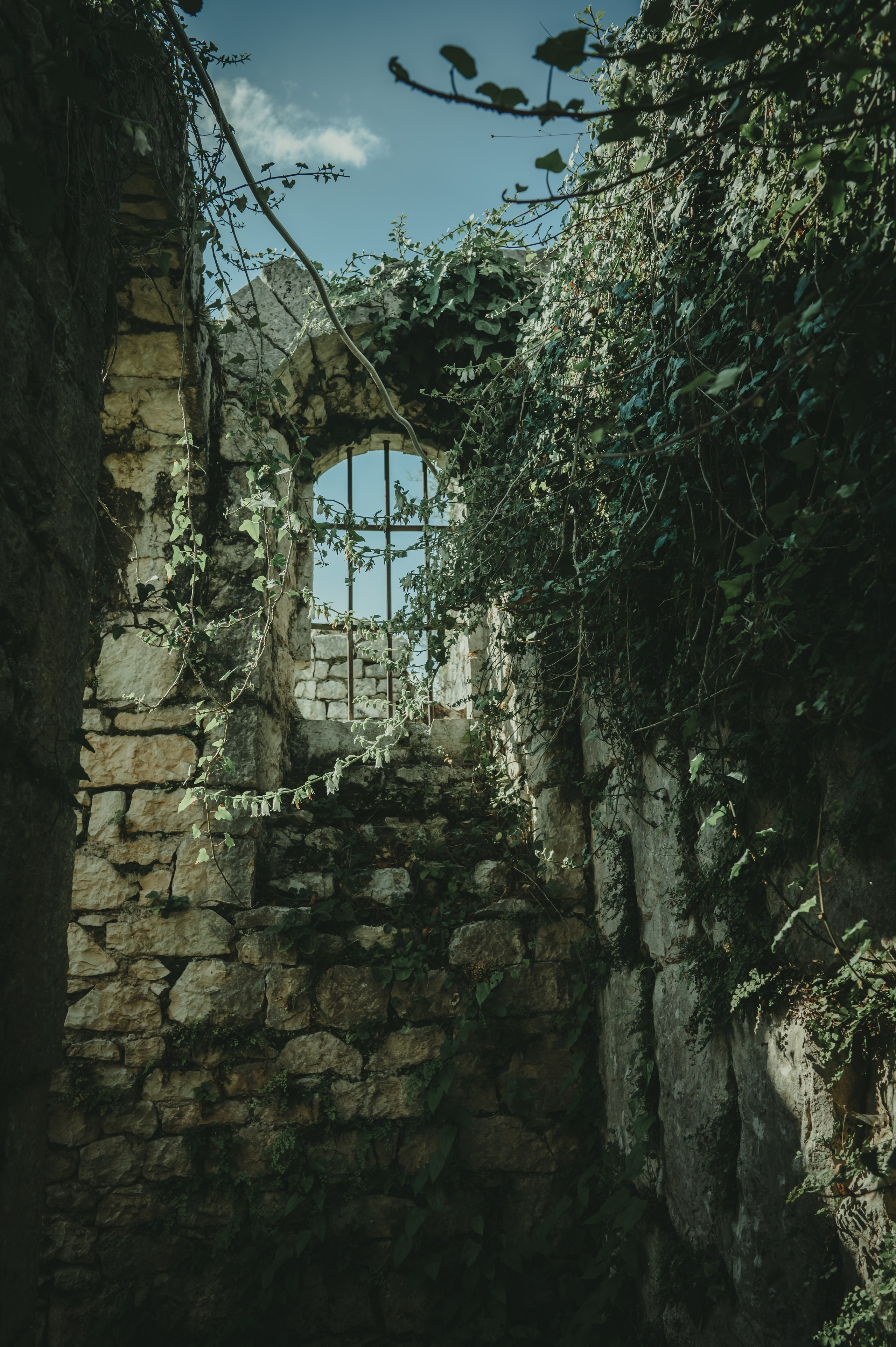 Абхазия. Женский фотограф Крещение Венчание Москва Брянск