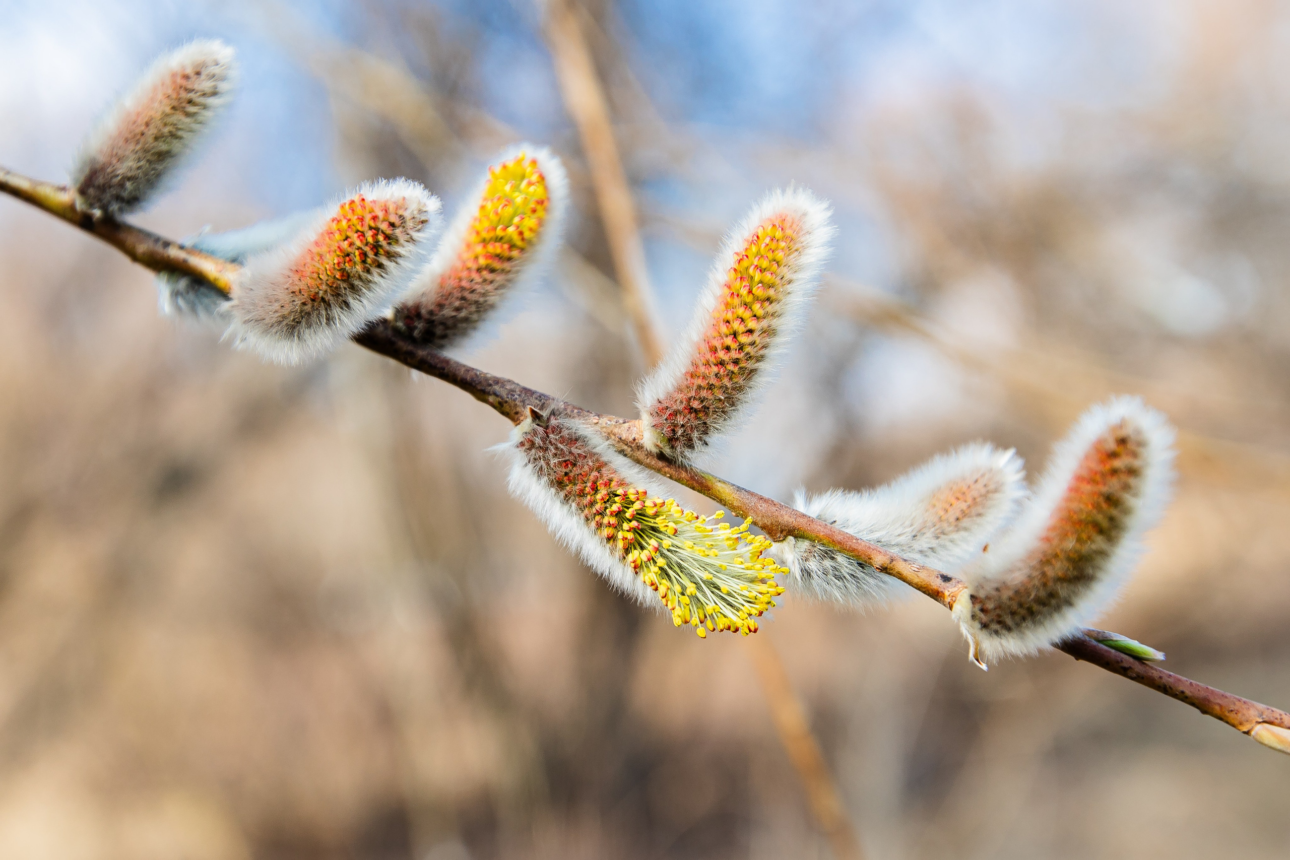 Фотограф в Нижнекамске