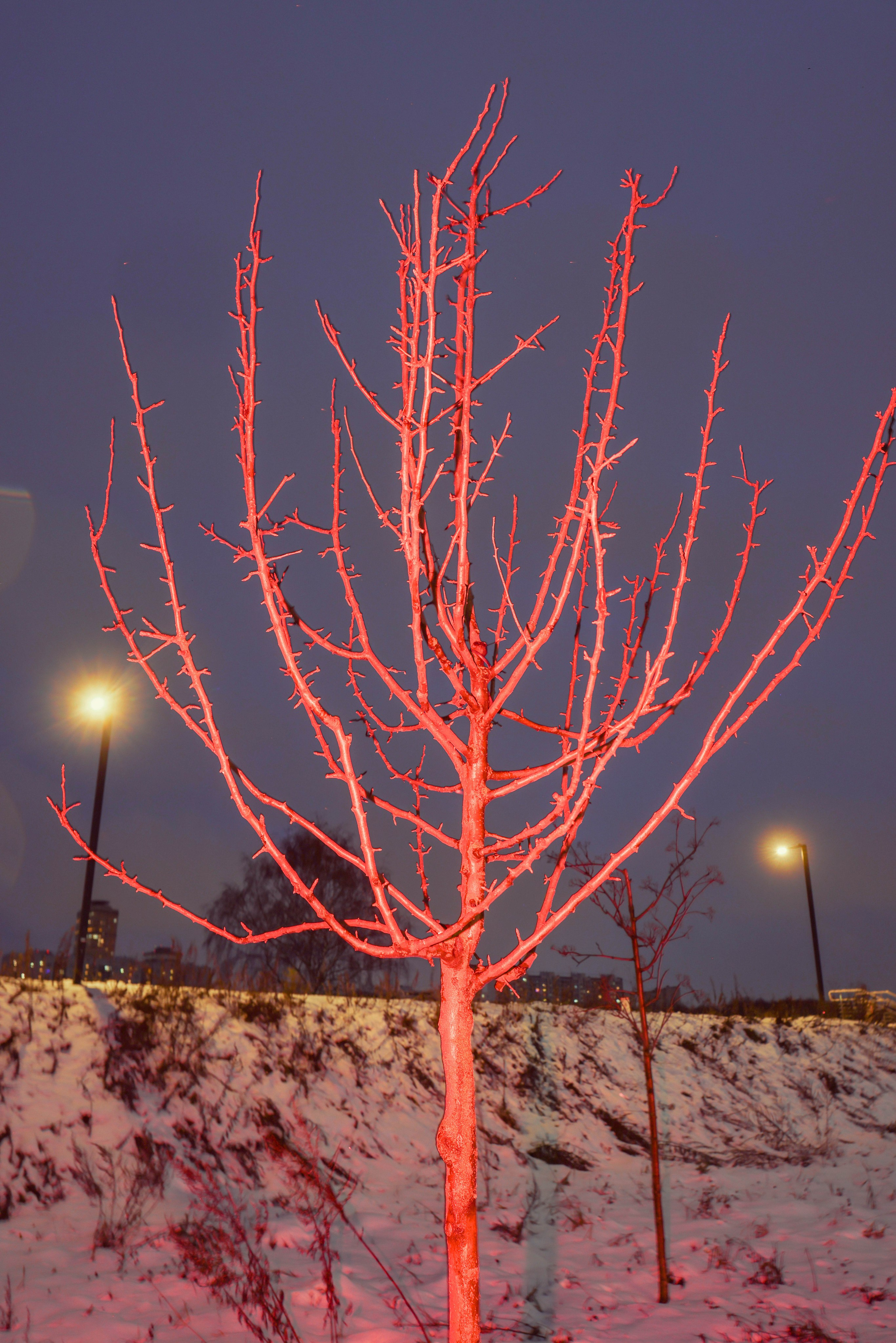 Берега памяти. Kateserbina