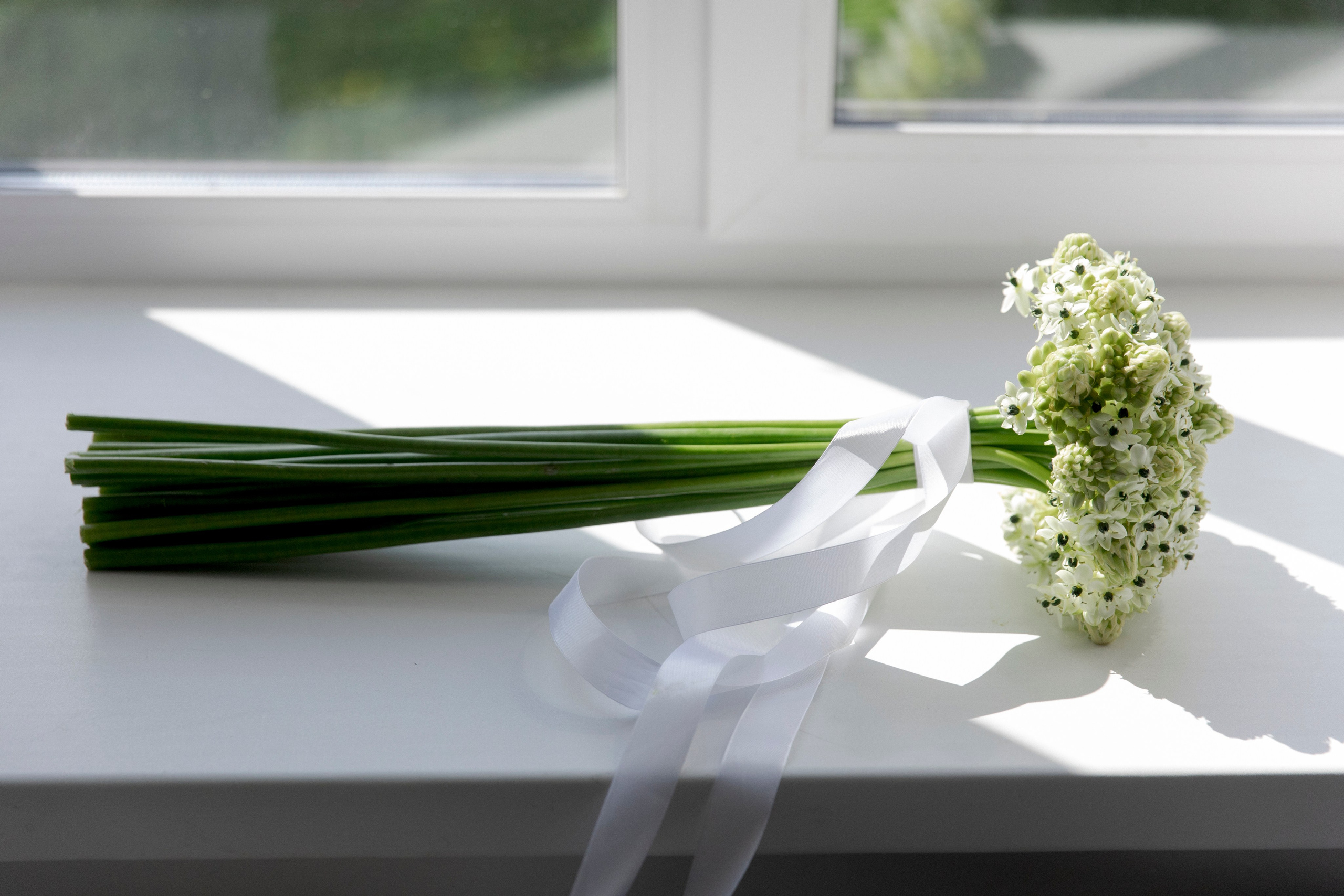 Даниил и Ольга. Свадебный и семейный фотограф в Новокузнецке Кемерово Новосибирске Богульская Ульяна