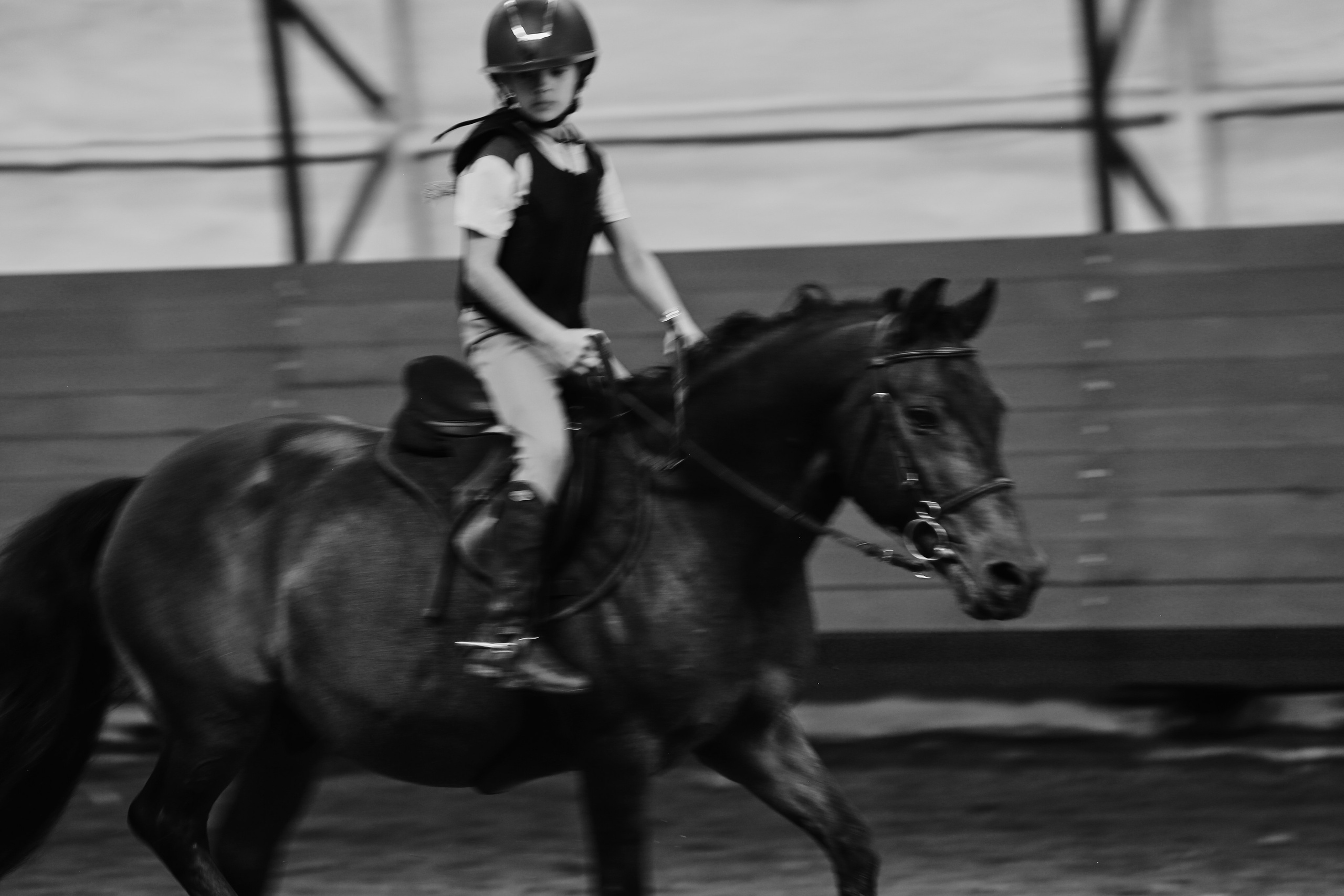 In a horse club NIMB. Фотограф Антонина Гудкова